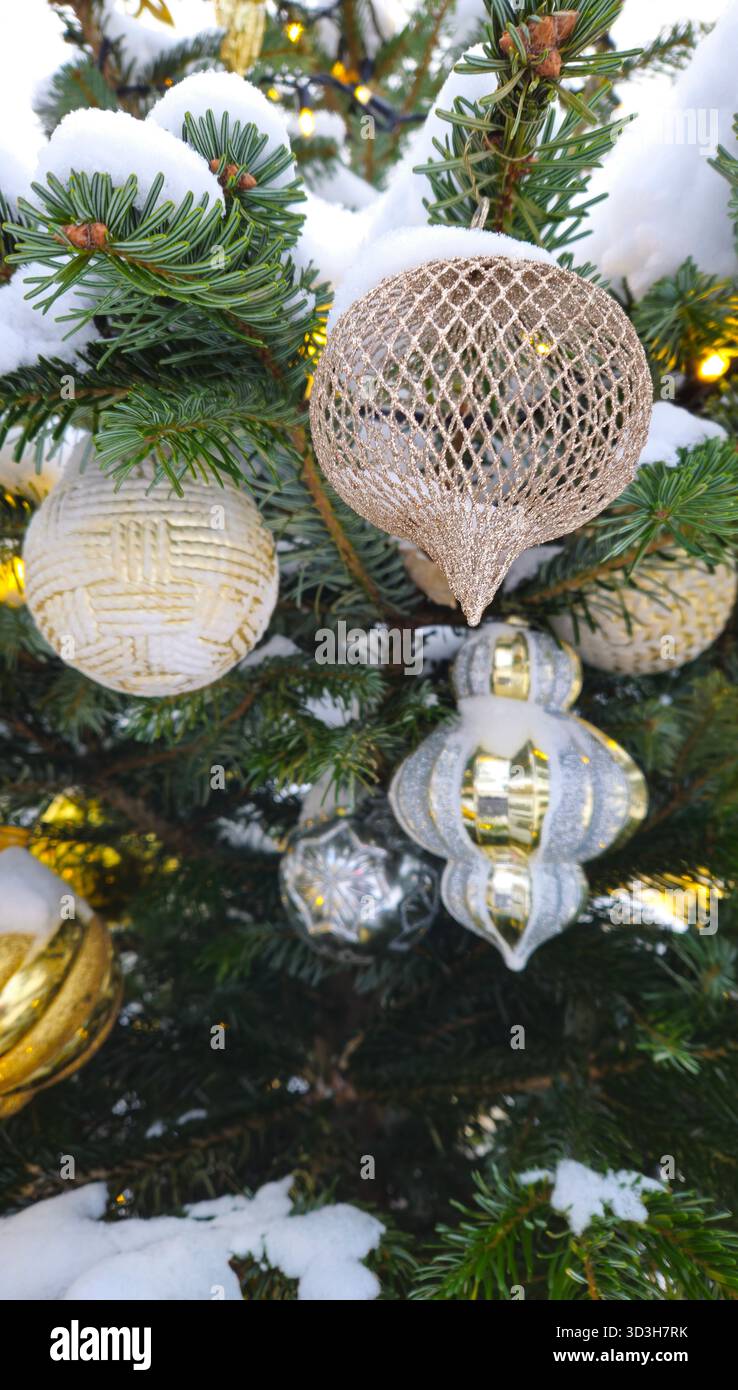 Branches of Christmas tree with beautiful decorations covered with snow ...