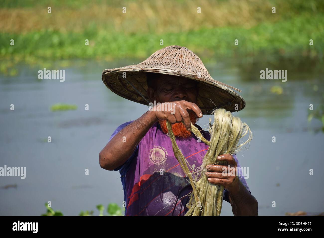 Jute fibres hi-res stock photography and images - Alamy