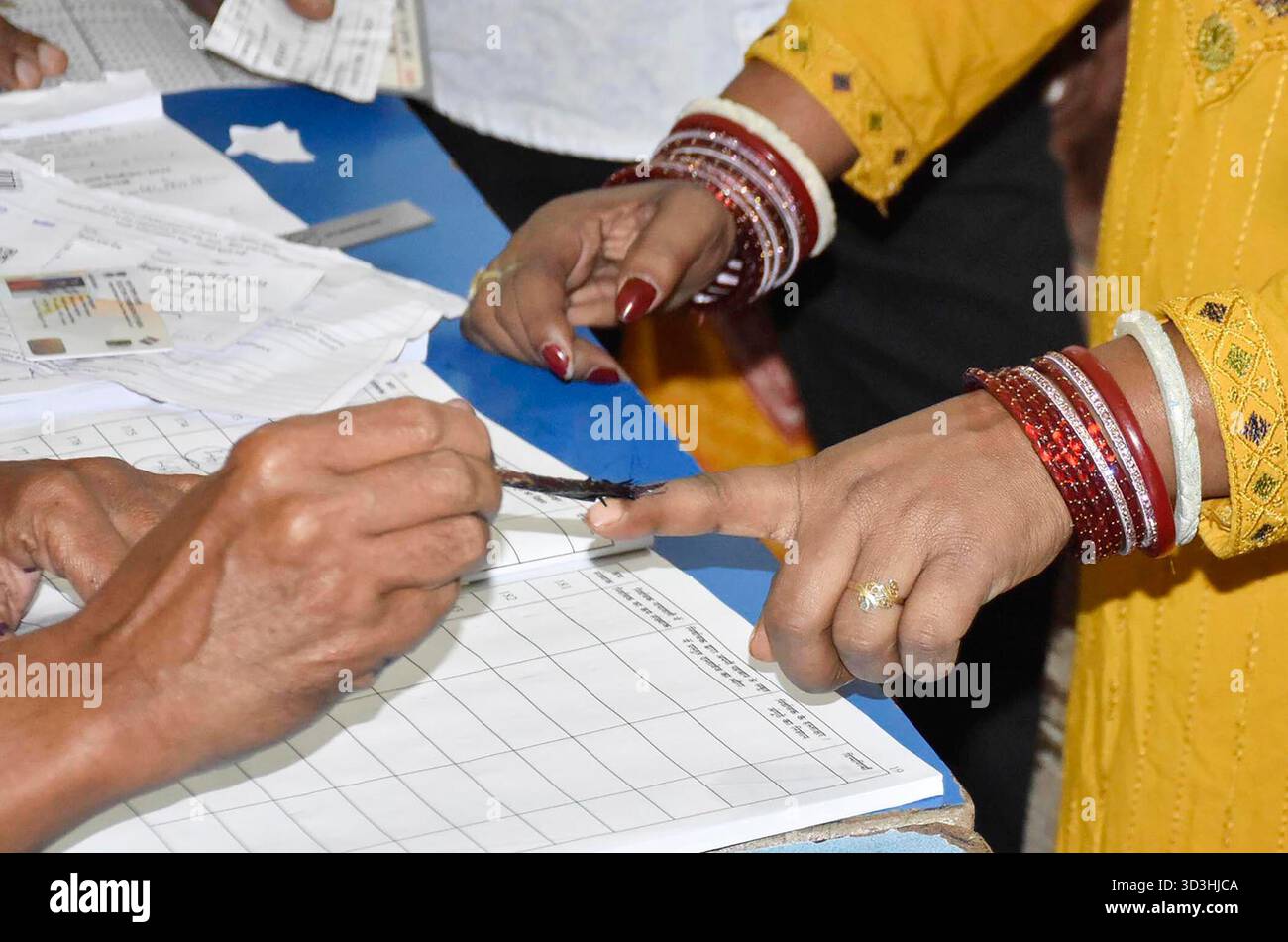 Why Does the Indian Vote Matter in Marginal Seats? Why Does the Indian Vote Matter in Marginal Seats?