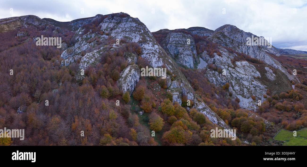 Aerial view from a drone of the mountain and forest landscape in autumn ...