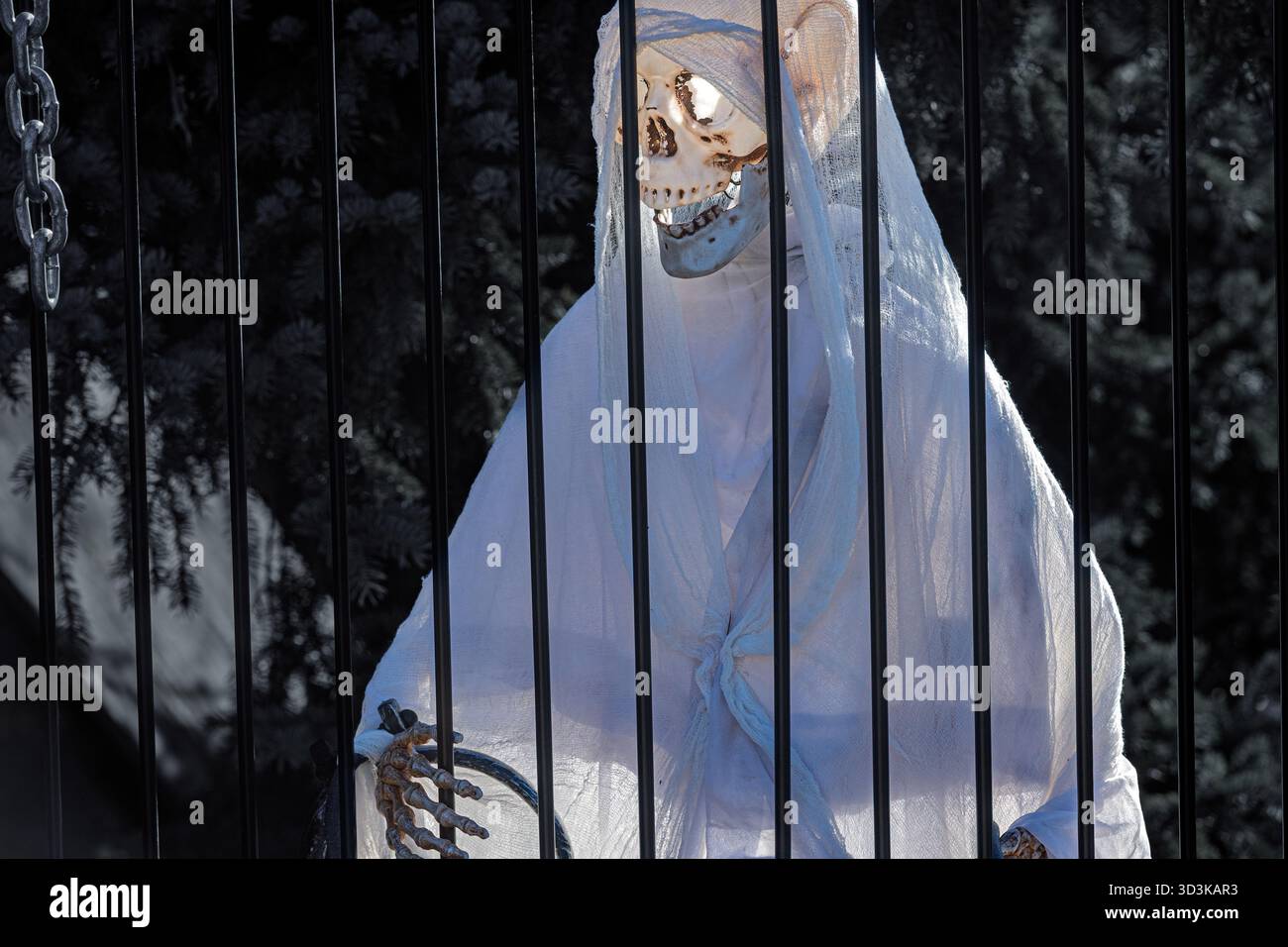 Skeleton figure dressed in white cloth behind black bars used as Halloween decoration in an outdoor setting Stock Photo