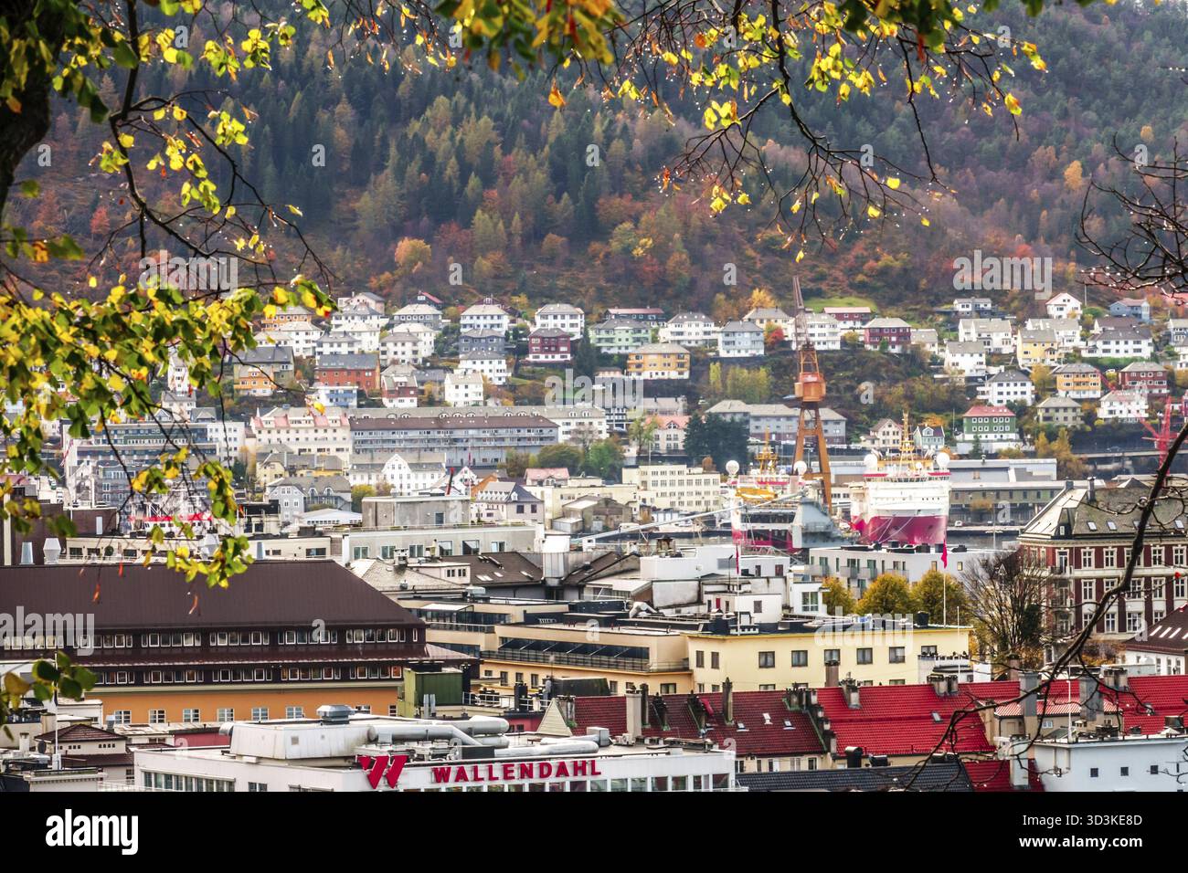 Dense rooftop hillside hi-res stock photography and images - Alamy