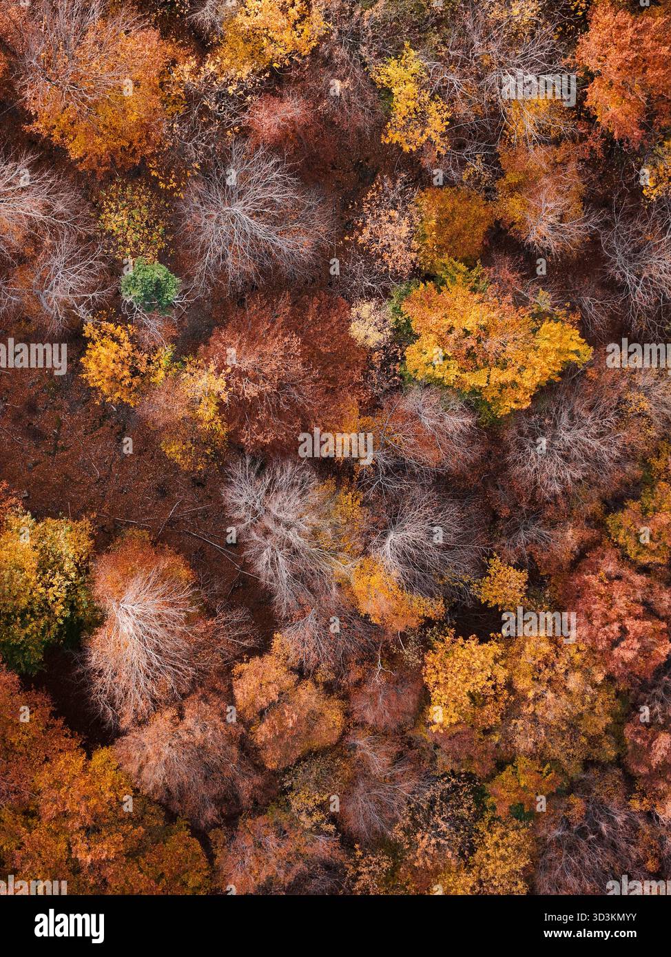 Aerial view amazing fall mountains hi-res stock photography and images ...