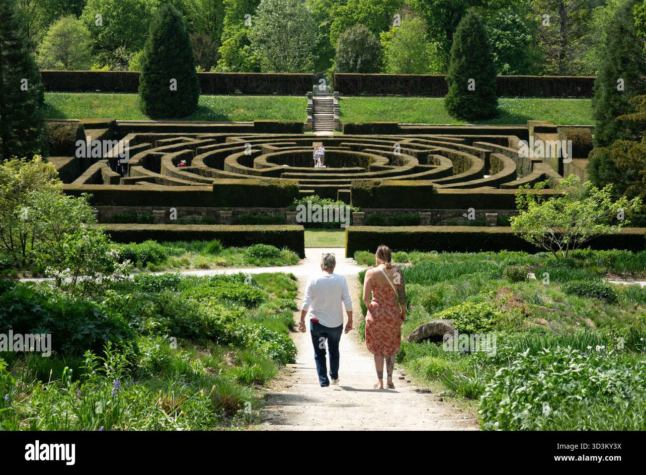 Two People Getting Steps In Two people walking down steps towards the maze at Chatsworth House ...