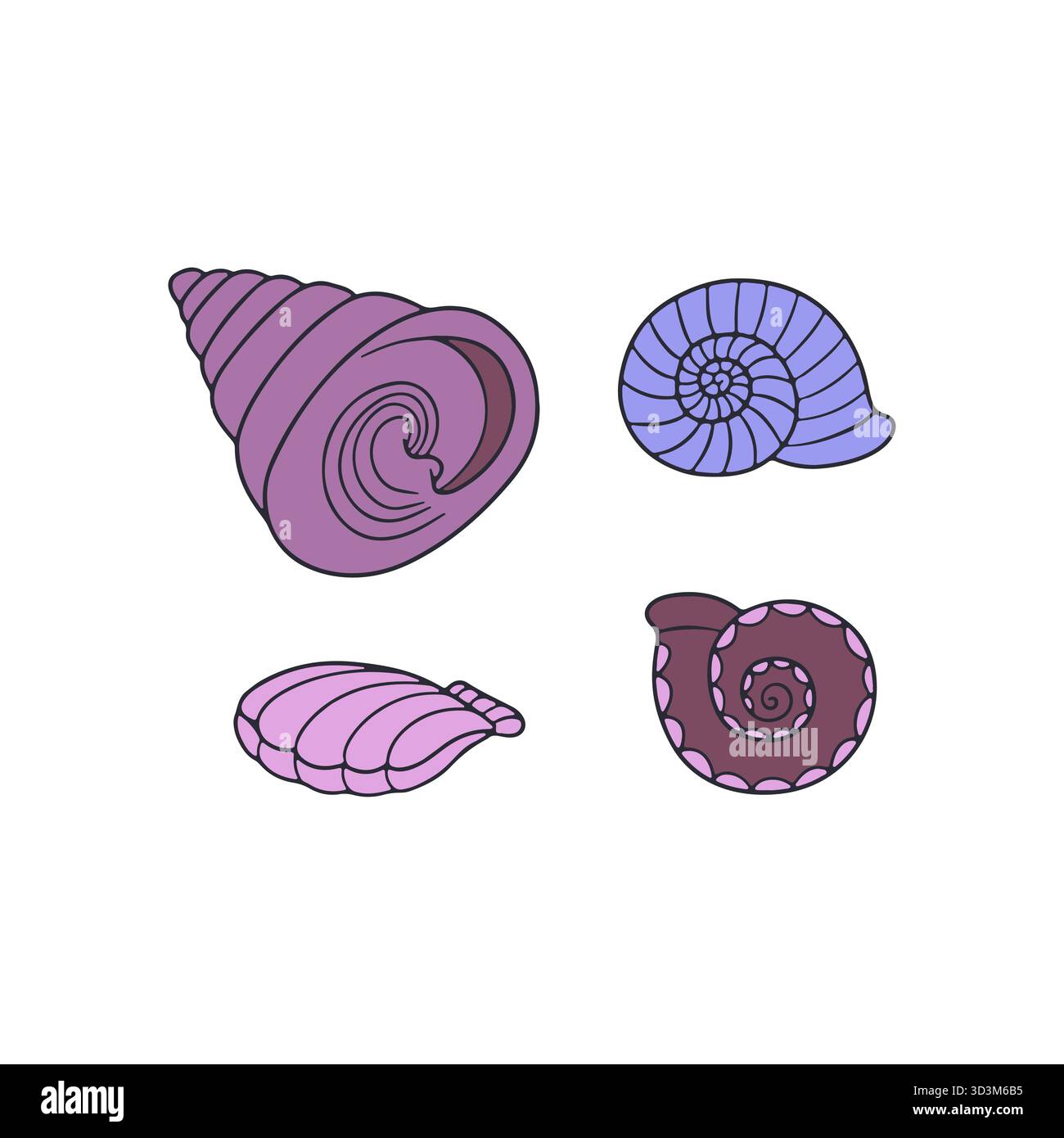Black line scallop sea shell Stock Vector Images - Alamy