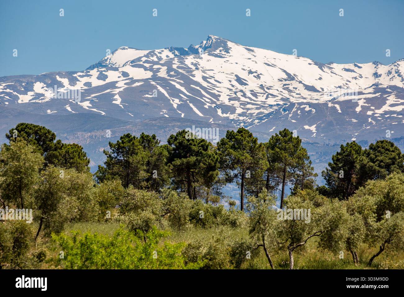 the snow covered Sierra Nevada mountain range in Andalusia, Spain. This