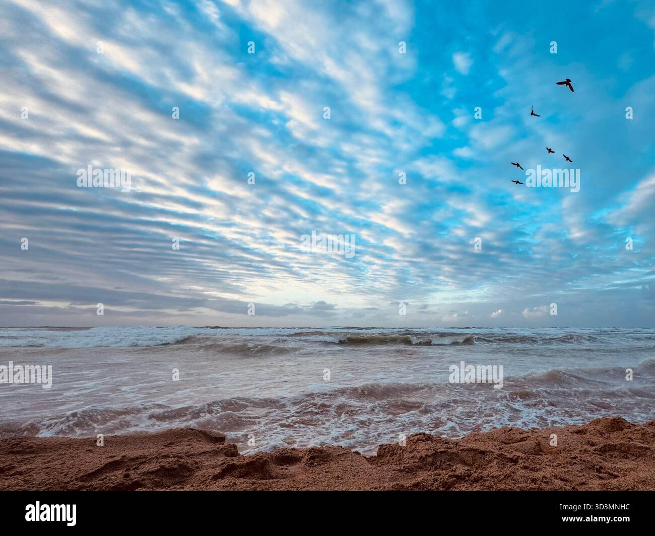 Morning light over Praia do Flamengo in Salvador, Bahia- soft waves, clouds, and seabirds over the Atlantic. - Smartphone Captured Stock Image