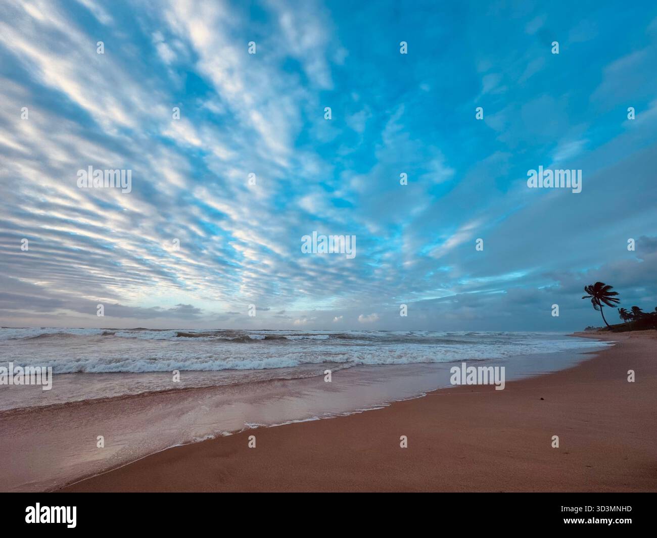 Dramatic sky over Praia do Flamengo in Salvador, Bahia, Brazil, with palm trees and waves along the tropical coast. - Smartphone Captured Stock Image