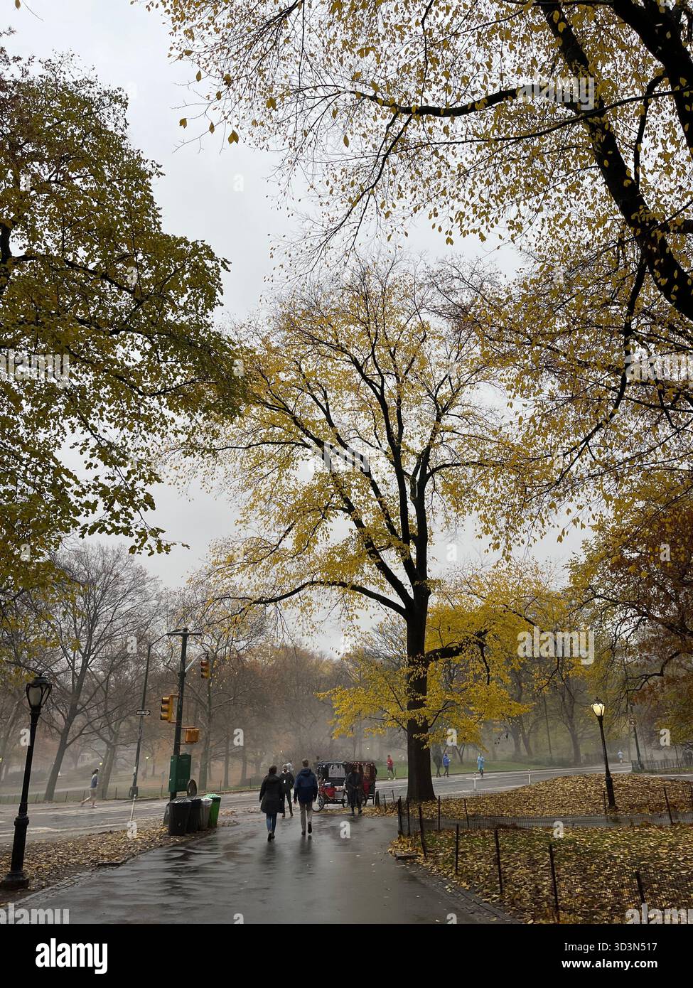Central Park dressed in autumn colors — a peaceful escape in the middle of Manhattan. - Smartphone Captured Stock Image