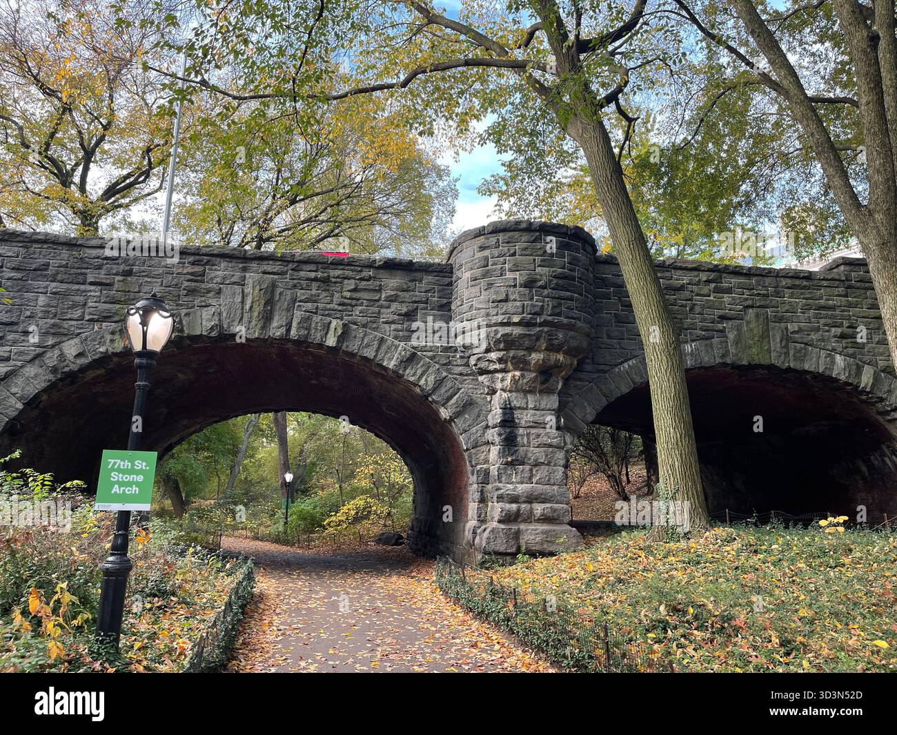 Central Park dressed in autumn colors — a peaceful escape in the middle of Manhattan. - Smartphone Captured Stock Image