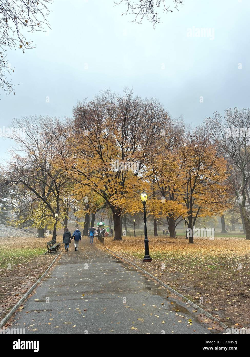 Central Park dressed in autumn colors — a peaceful escape in the middle of Manhattan. - Smartphone Captured Stock Image