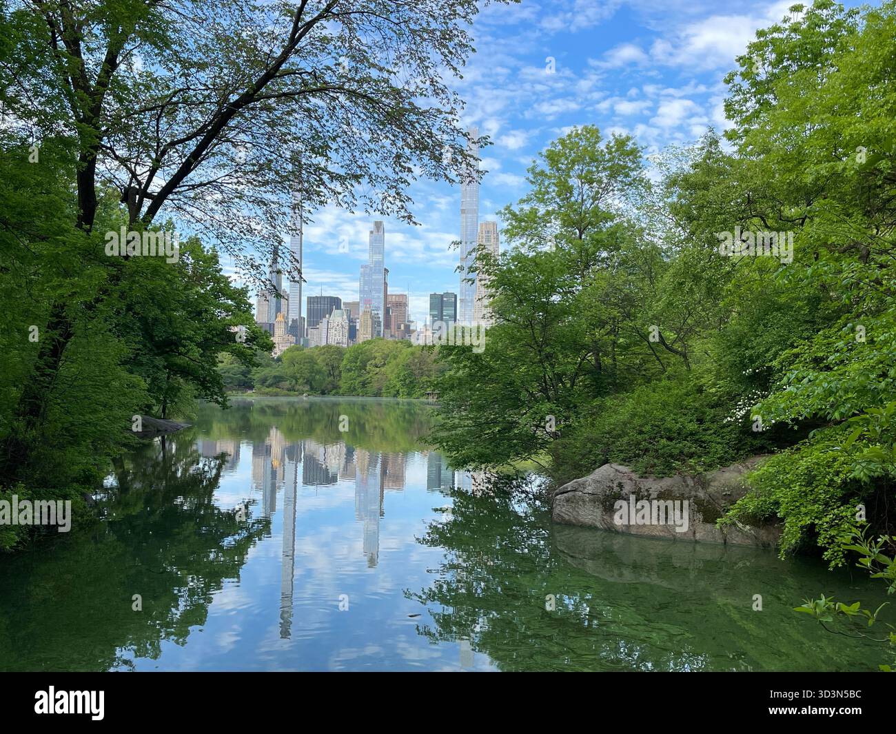 Spring blooms reflected like glass, Central Park’s Lake a perfect mirror. - Smartphone Captured Stock Image