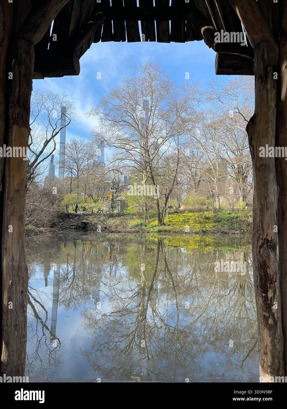 Spring blooms reflected like glass, Central Park’s Lake a perfect mirror. - Smartphone Captured Stock Image
