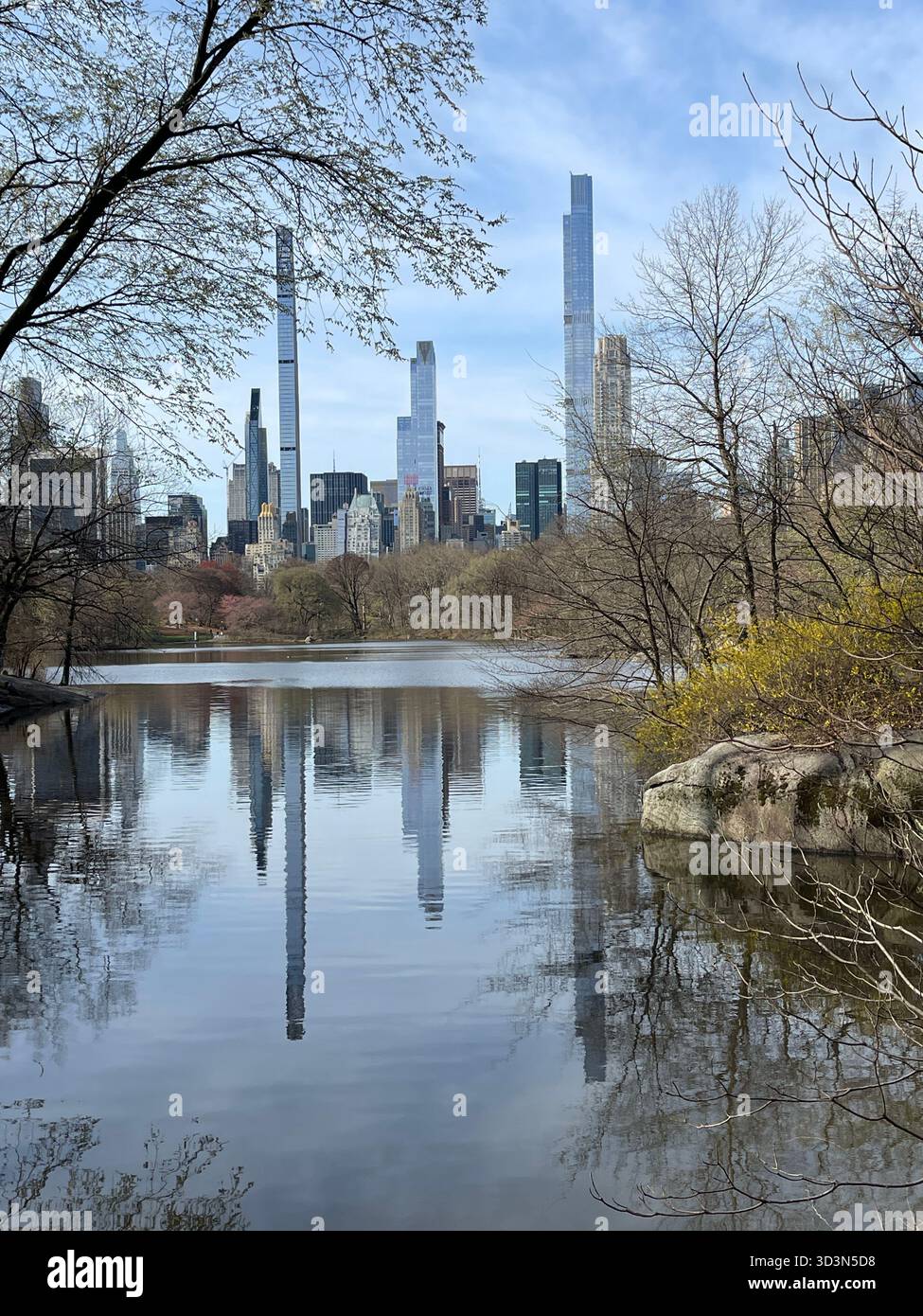 Spring blooms reflected like glass, Central Park’s Lake a perfect mirror. - Smartphone Captured Stock Image