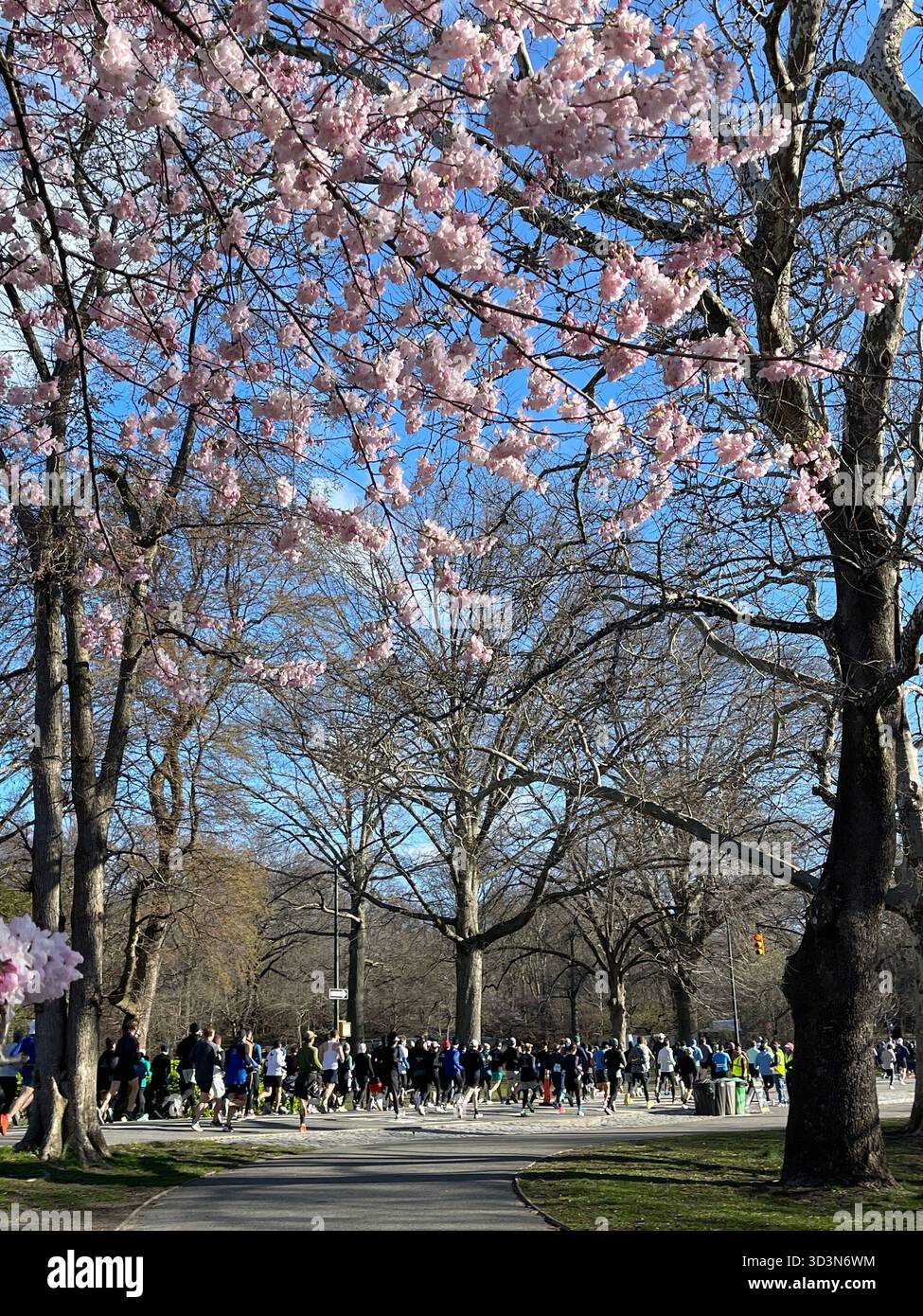 Early morning runners energize Central Park as the sun rises. - Smartphone Captured Stock Image