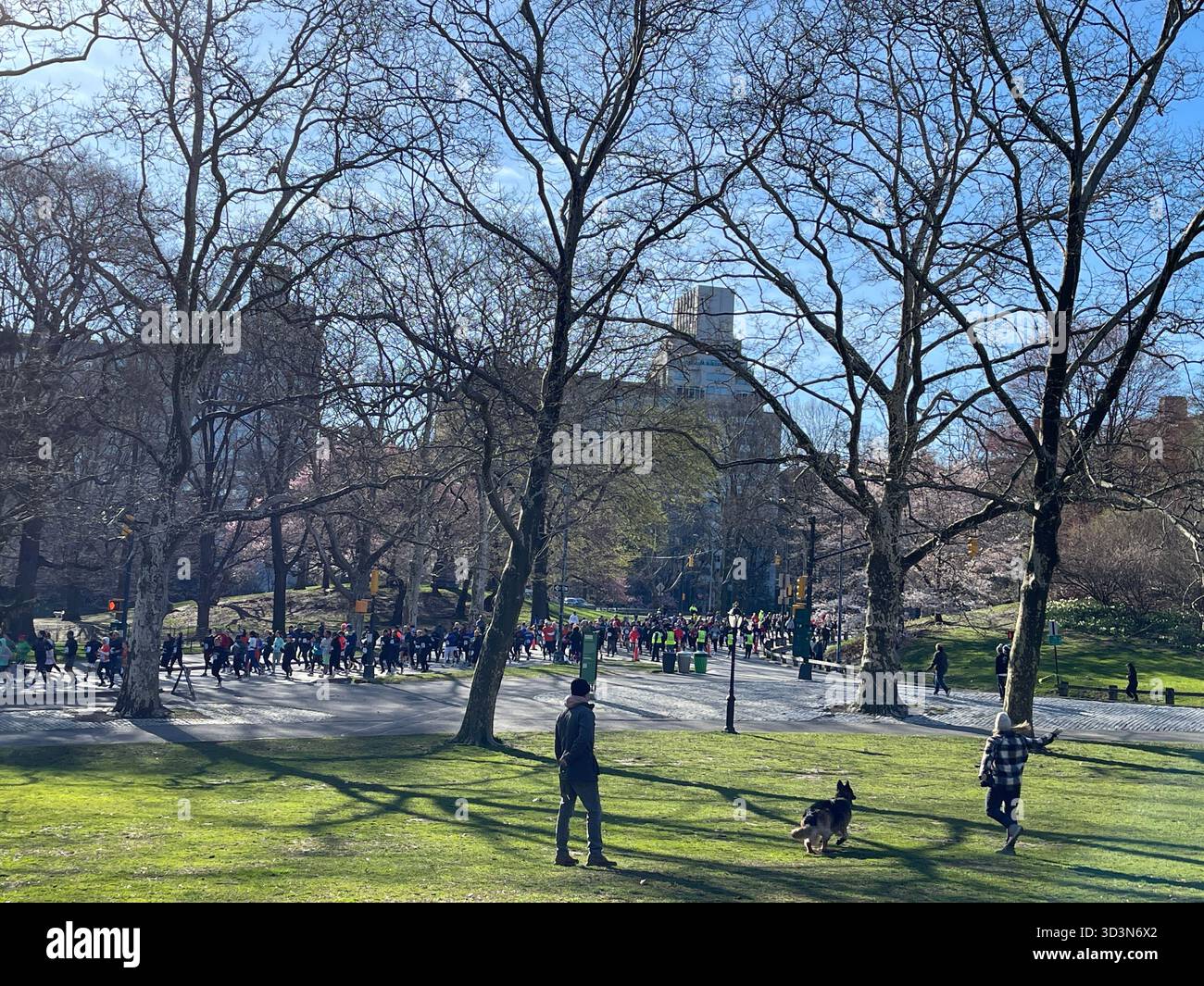 Early morning runners energize Central Park as the sun rises. - Smartphone Captured Stock Image