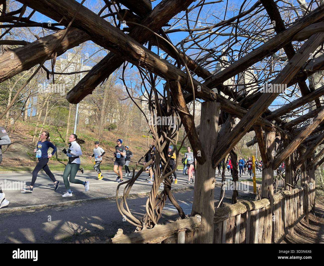 Early morning runners energize Central Park as the sun rises. - Smartphone Captured Stock Image