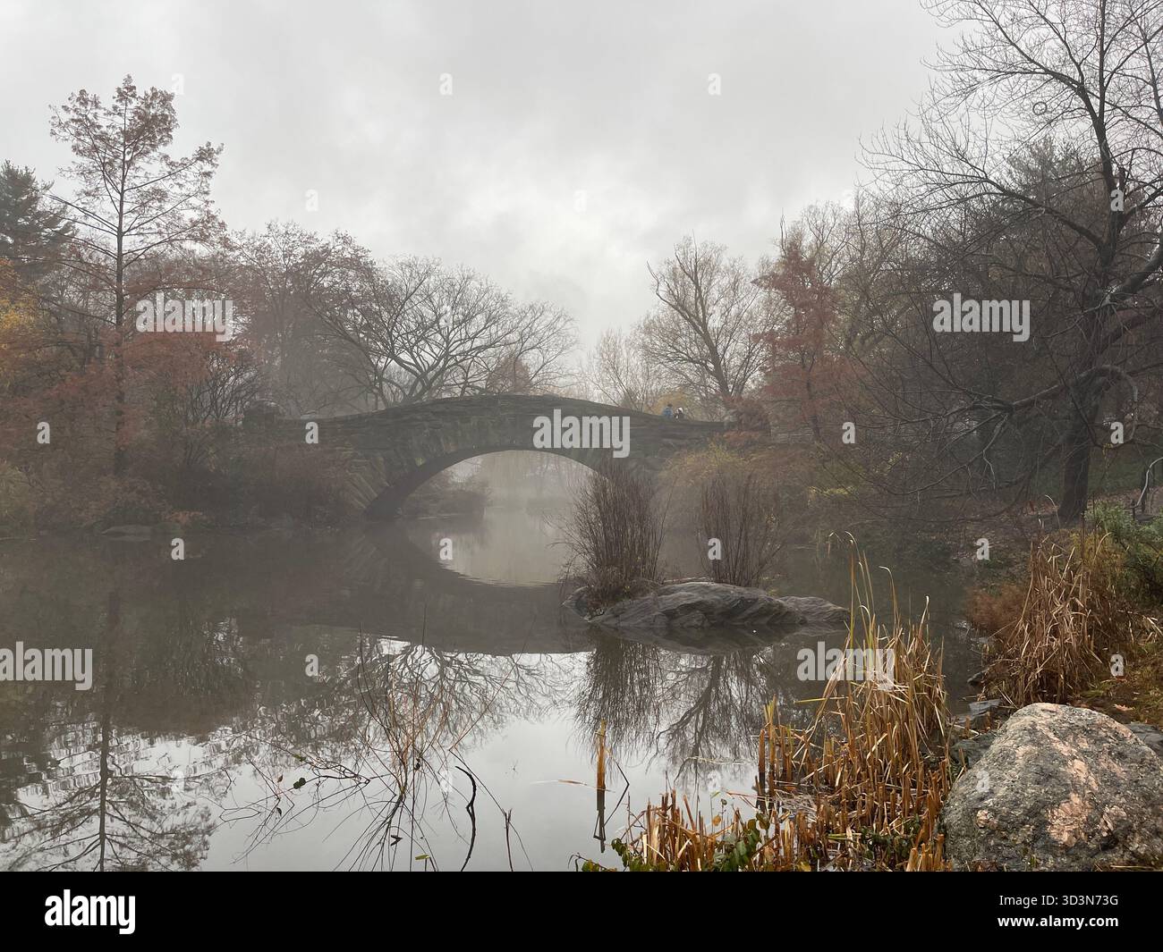 Central Park dressed in autumn colors — a peaceful escape in the middle of Manhattan. - Smartphone Captured Stock Image