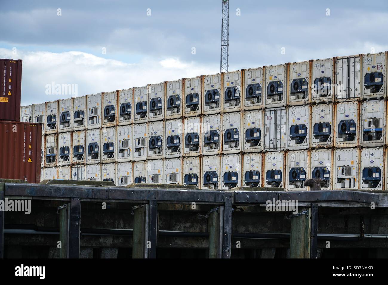 Port of Tauranga, New Zealand. Numerous white refrigerated shipping ...