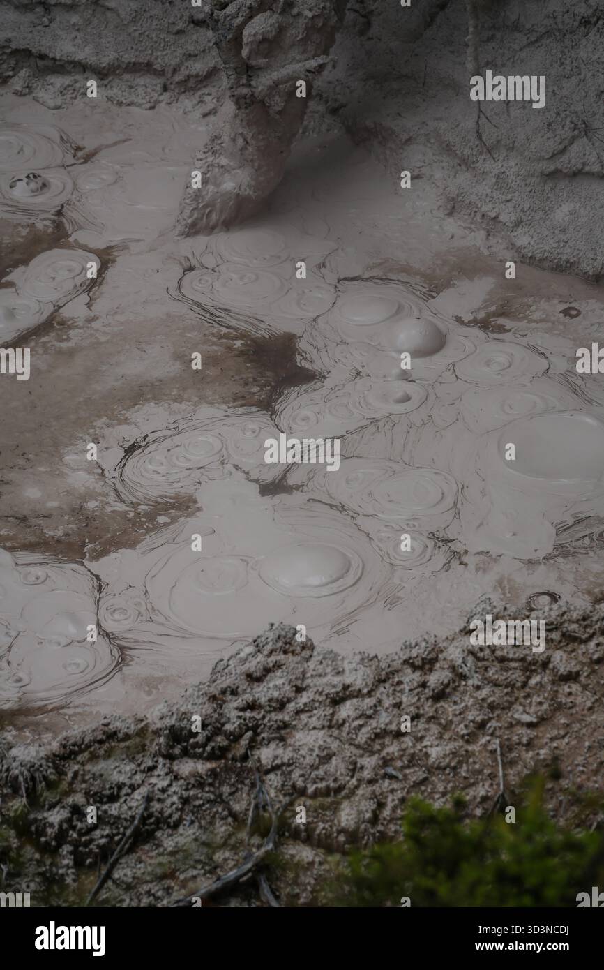 Mud pool at Orakei Korako Geothermal Park, New Zealand, featuring ...