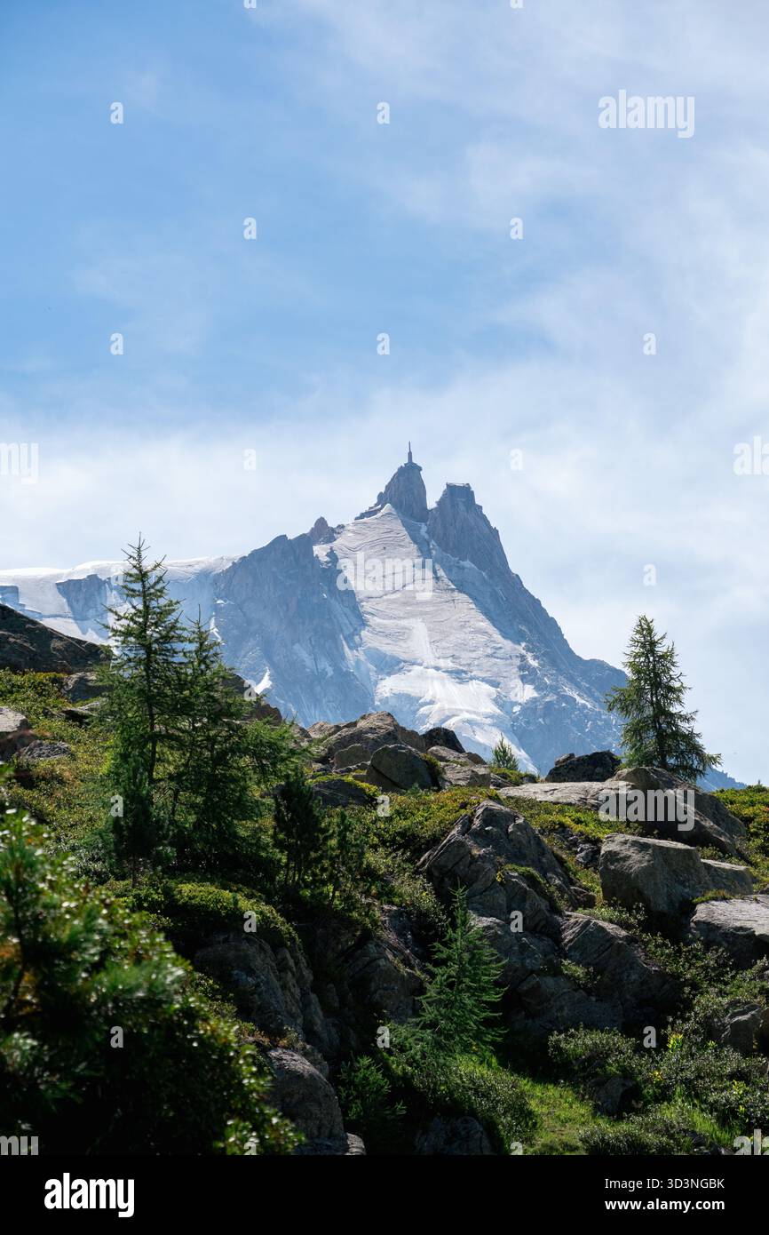 Iconic Aiguille du Midi peak rising above alpine meadow and scattered ...