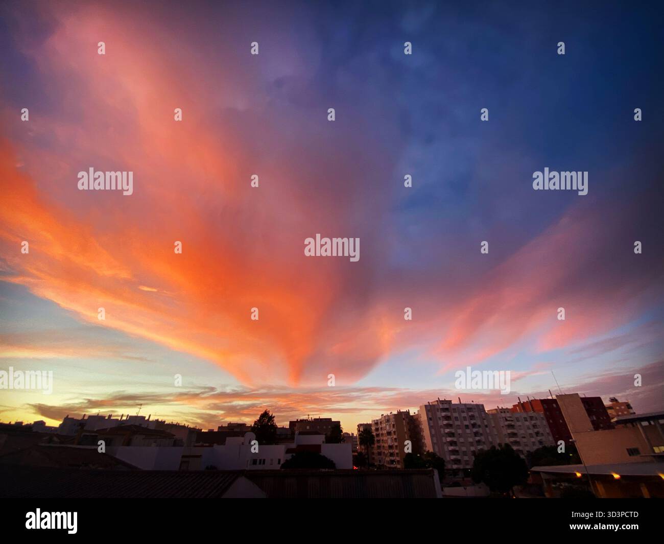 Sunset in Jerez de la Frontera, Cadiz province, Andalucia, Spain - Smartphone Captured Stock Image