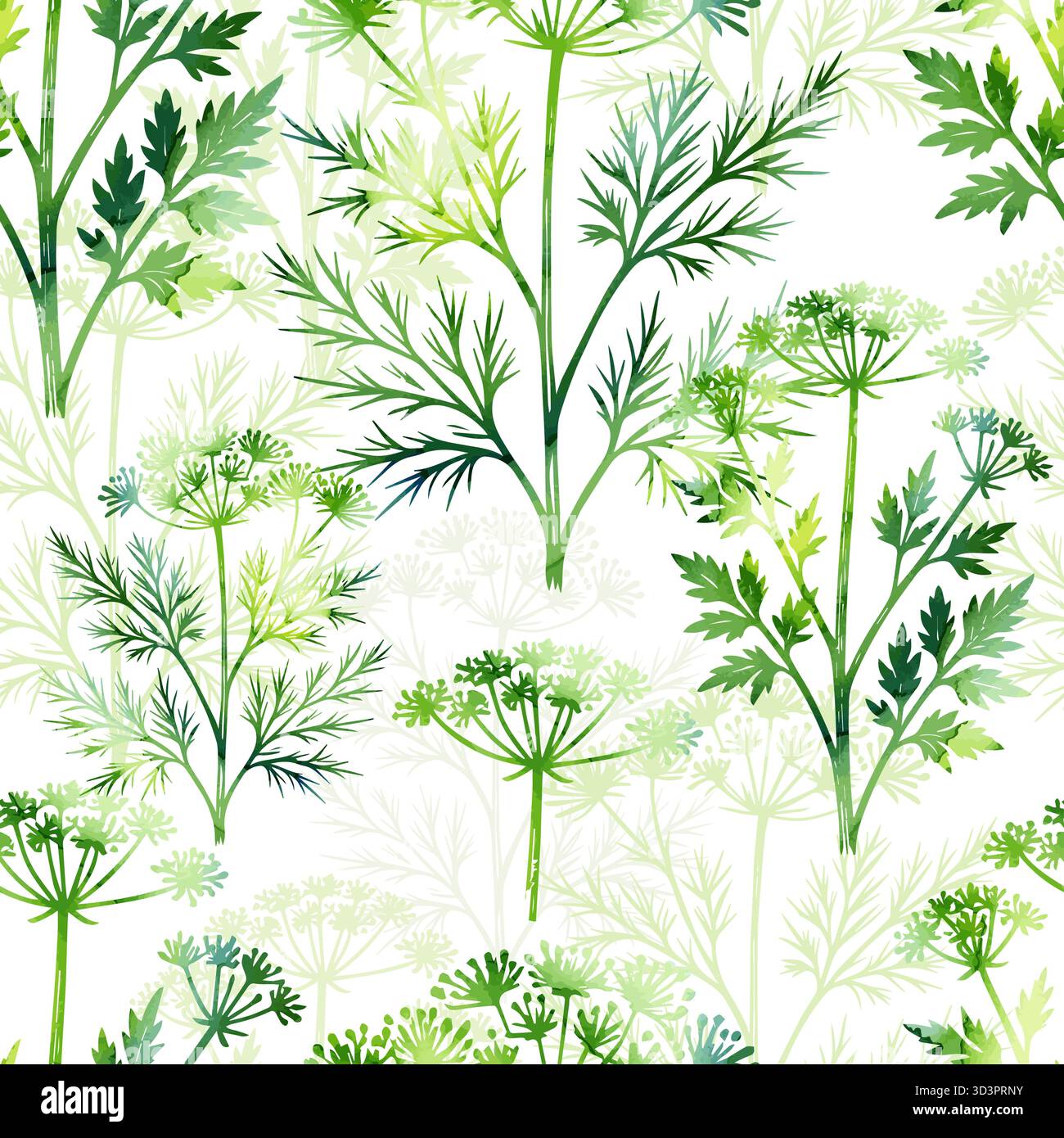 Seamless pattern with watercolor herbs, dill and parsley. Hand drawn ...