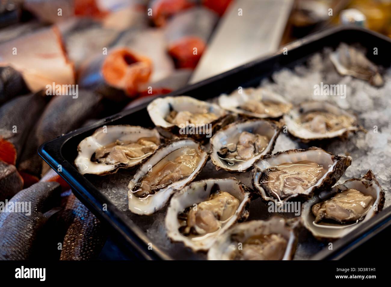 Display fresh oysters on ice hi-res stock photography and images - Alamy