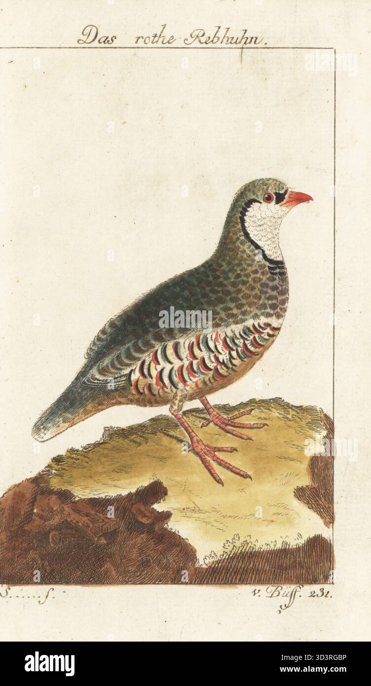 Recent Wines April 2022 (Part 1) #theglouthatbindsus | David Crossley's  Wide World of Wine, image size:752x1390