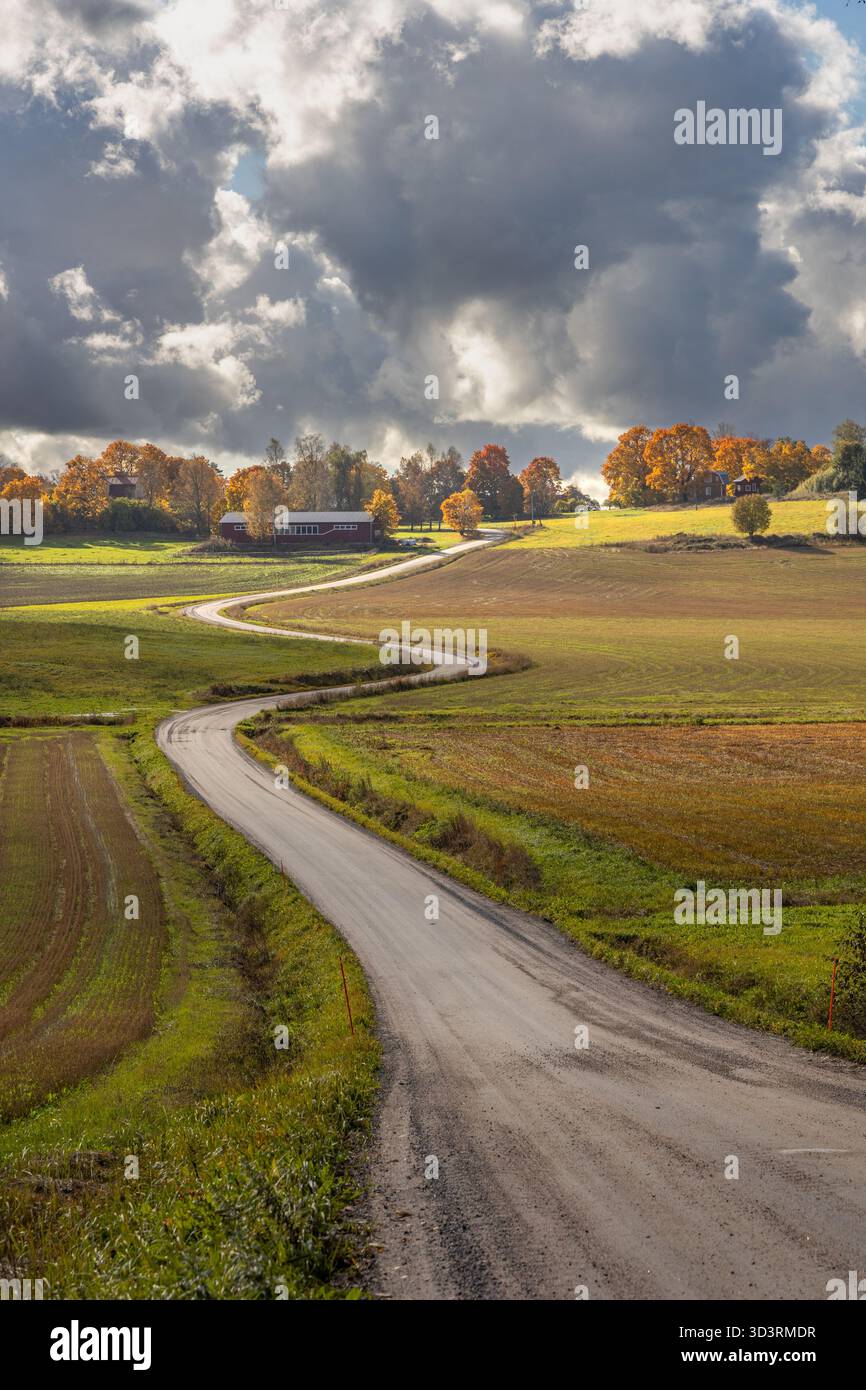 Winding gravel road in rural Finland Stock Photo