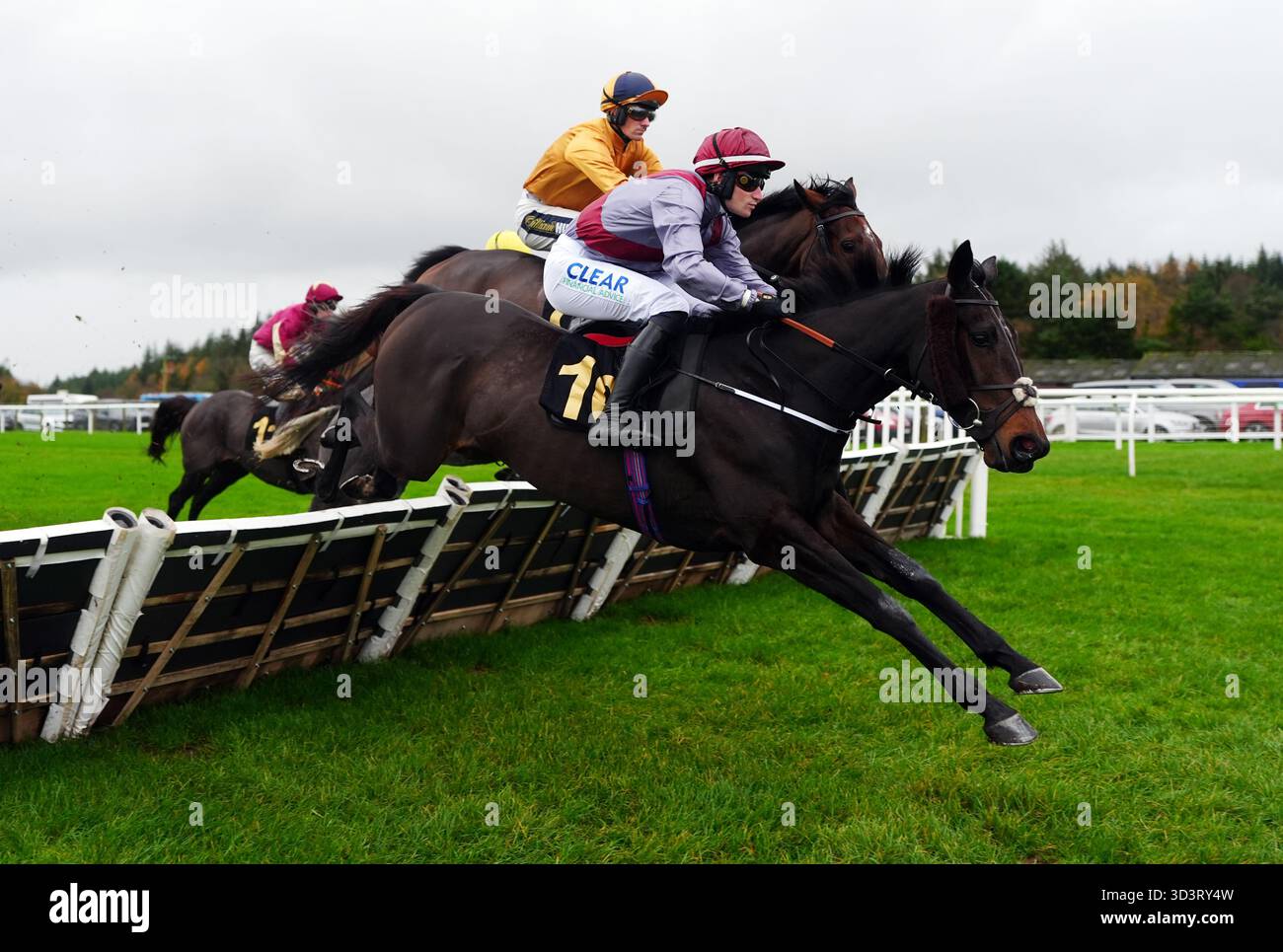 Bryan tucker hi-res stock photography and images - Alamy