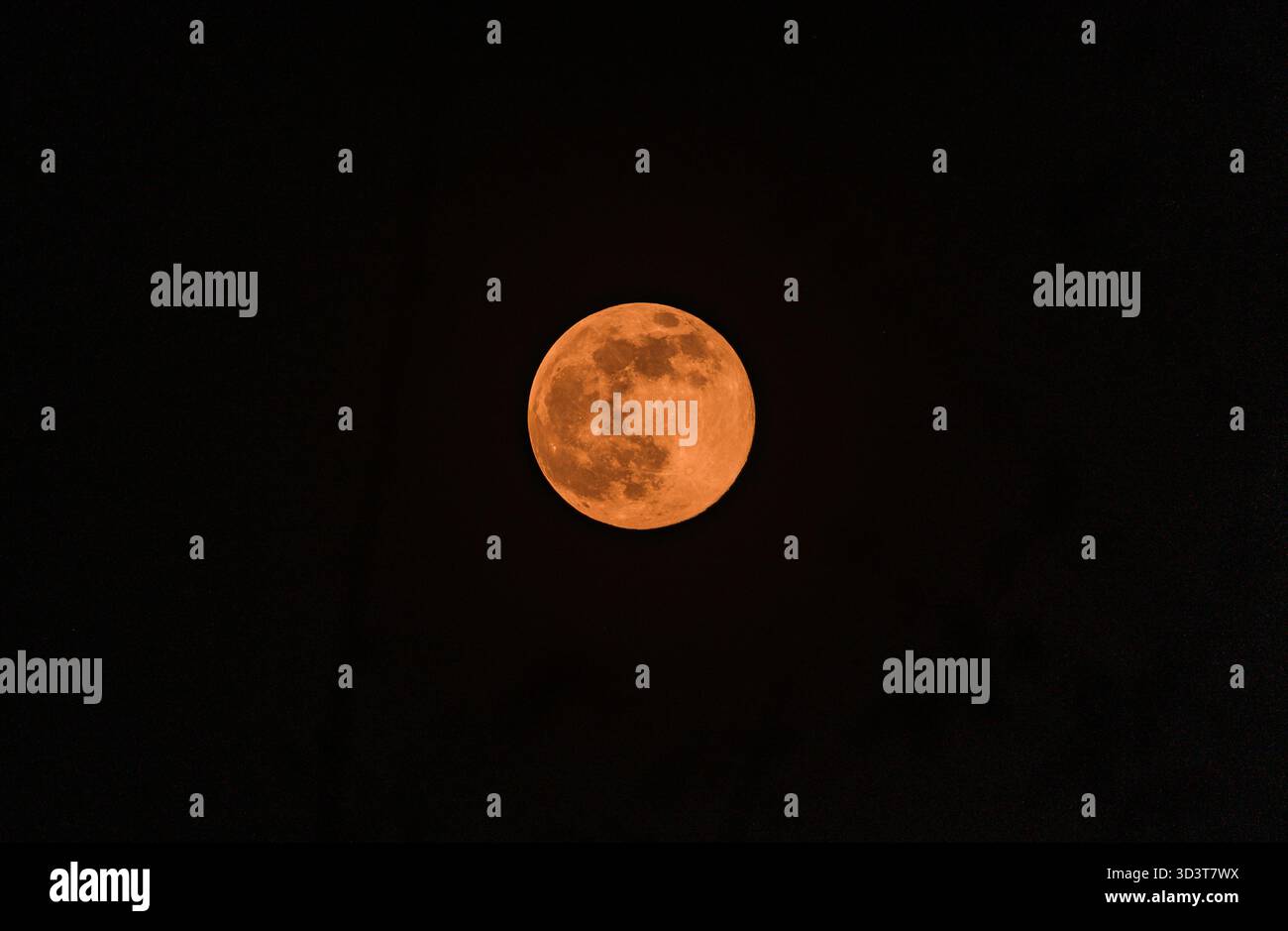 The November full moon, known as the Beaver Moon, is the largest and ...