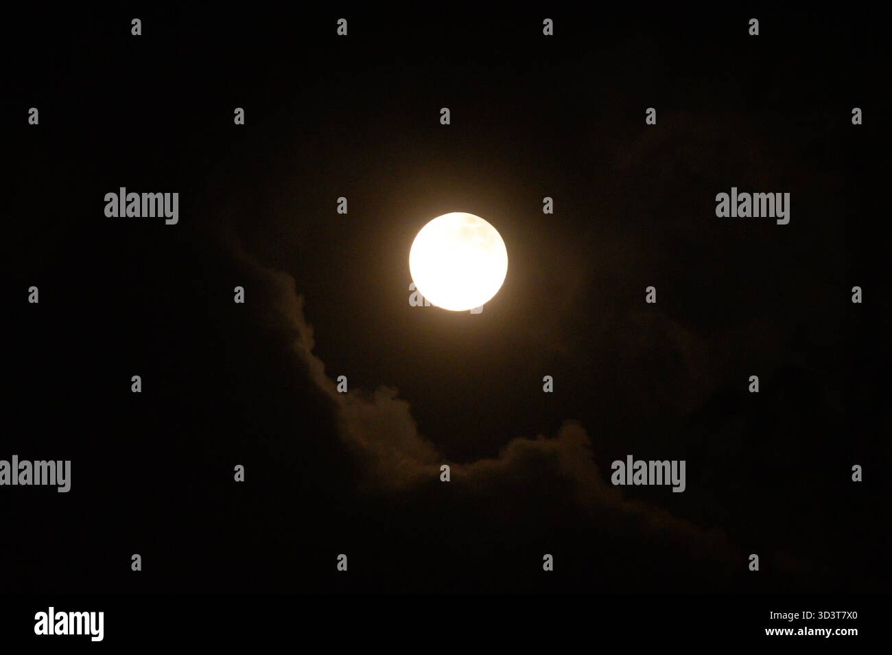 The November full moon, known as the Beaver Moon, is the largest and ...