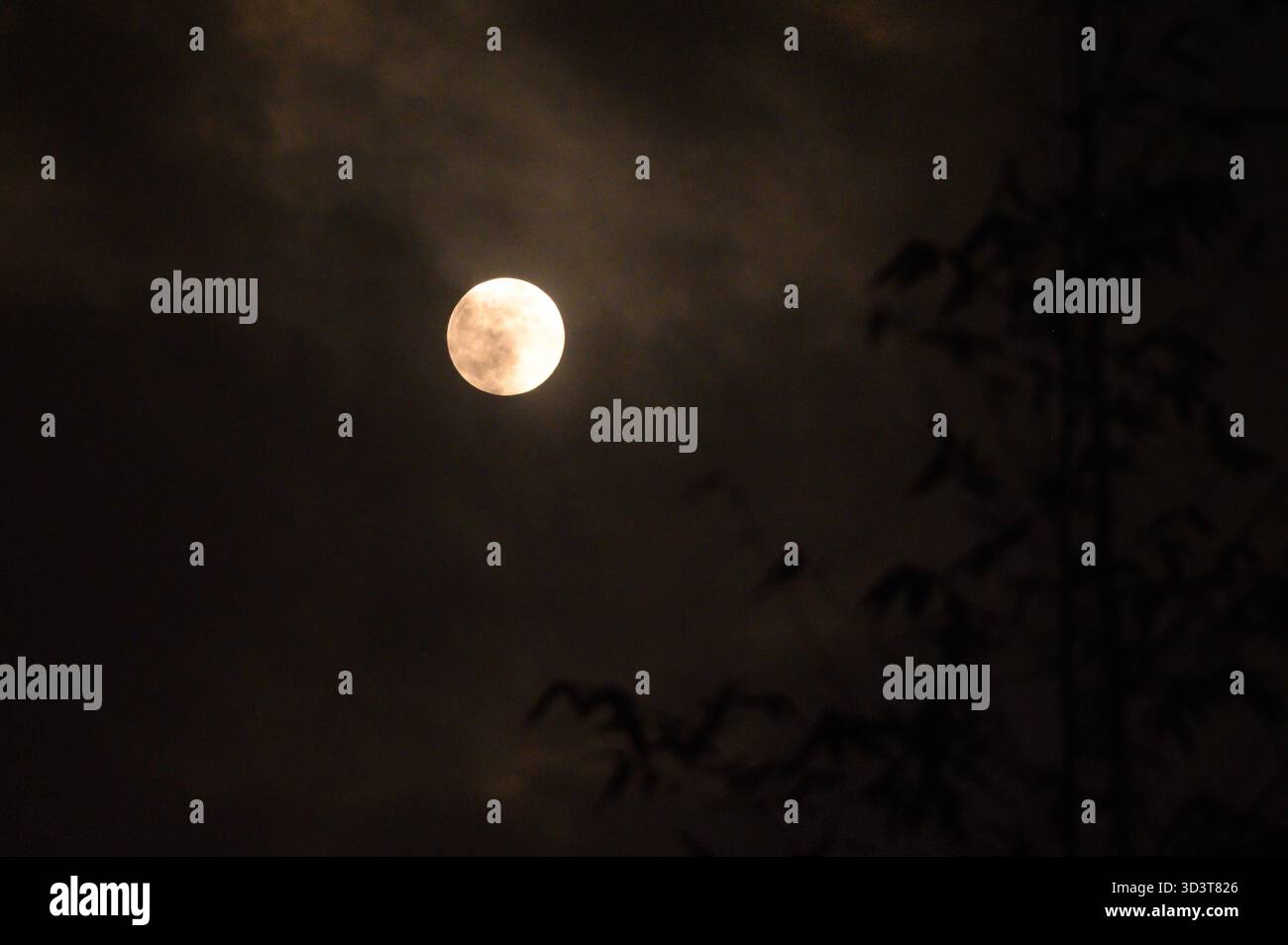 The November full moon, known as the Beaver Moon, is the largest and ...