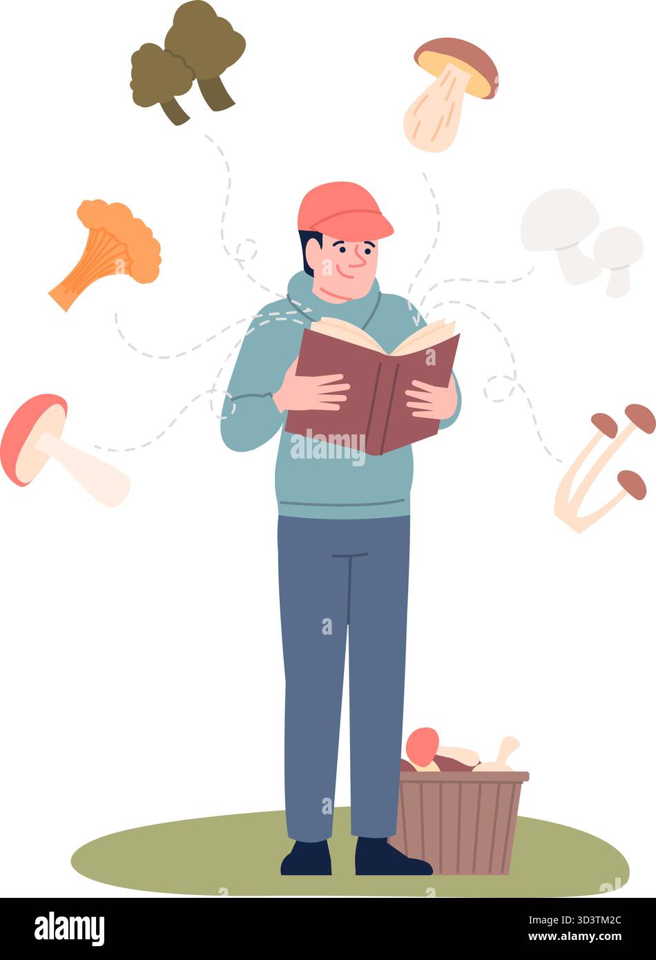 Study of mushrooms. Man examining mushroom in book, young fungus hunter. Comparison and verification of forest gifts according to textbook, recent vec Stock Vector