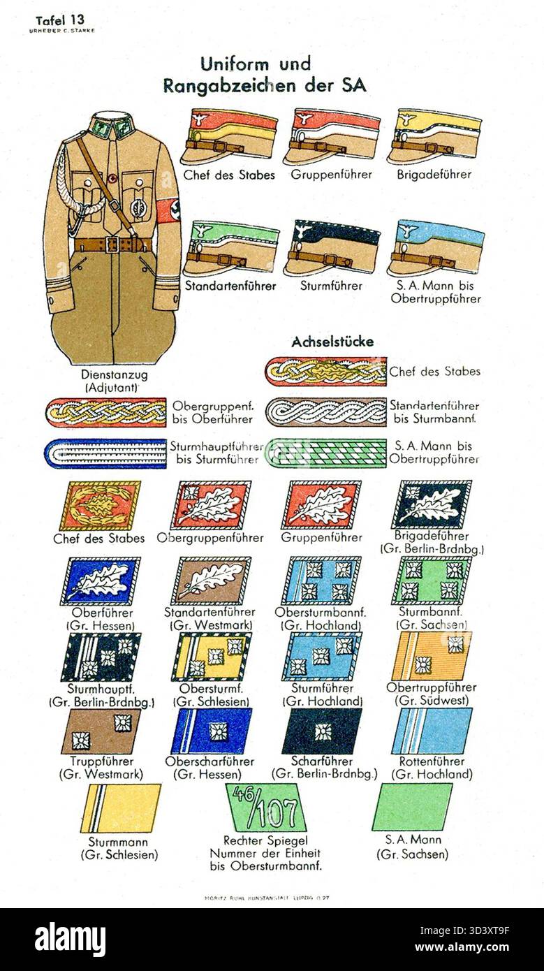 This 1937 Chart Details The Uniforms And Rank Insignia Of The SA This 1937 Chart Details The Uniforms And Rank Insignia Of The SA