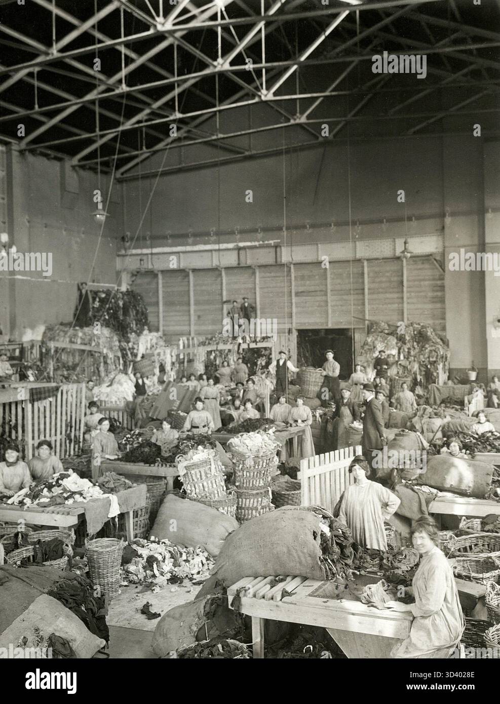 In Amsterdam, Netherlands, 1916, the municipal rag sorting facility is ...