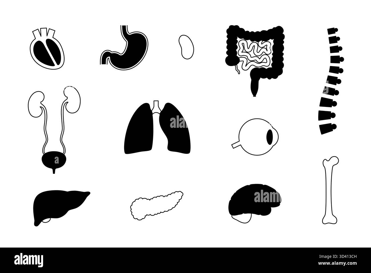 Illustration human respiratory digestive Black and White Stock Photos ...