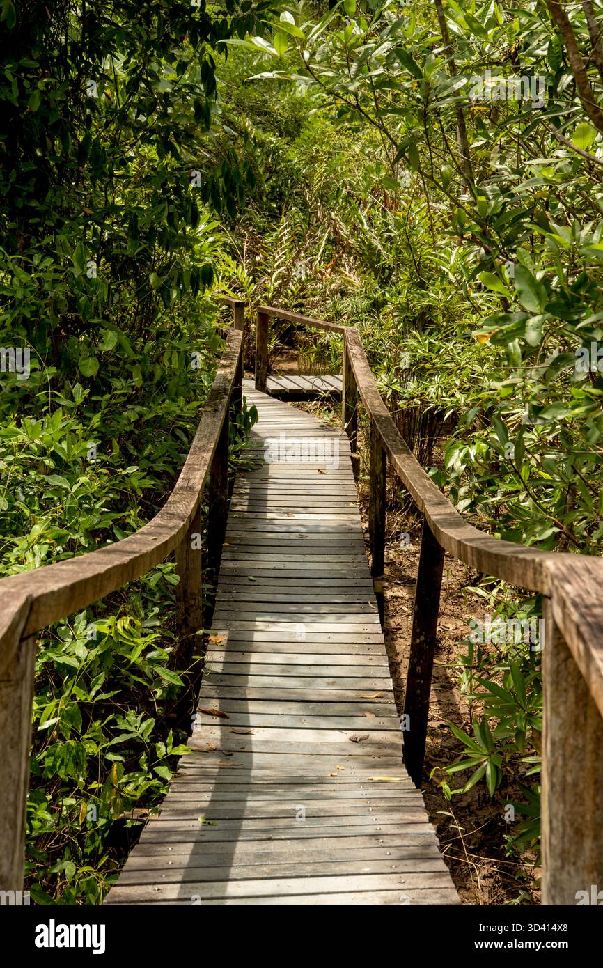 Wooden railings hi-res stock photography and images - Alamy