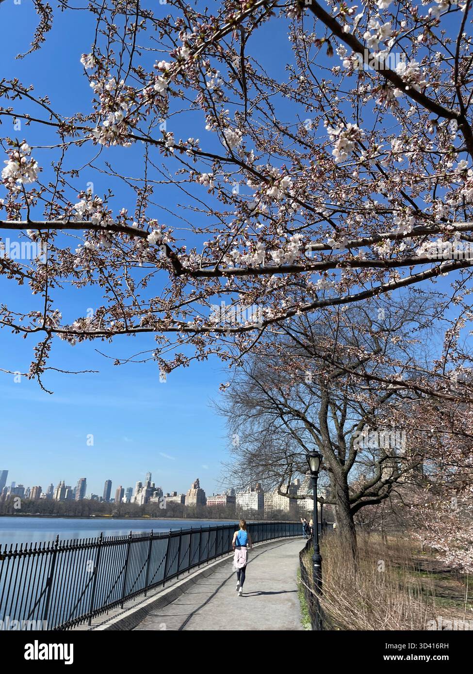 Central Park landscape with city skyline, showing seasonal changes. - Smartphone Captured Stock Image
