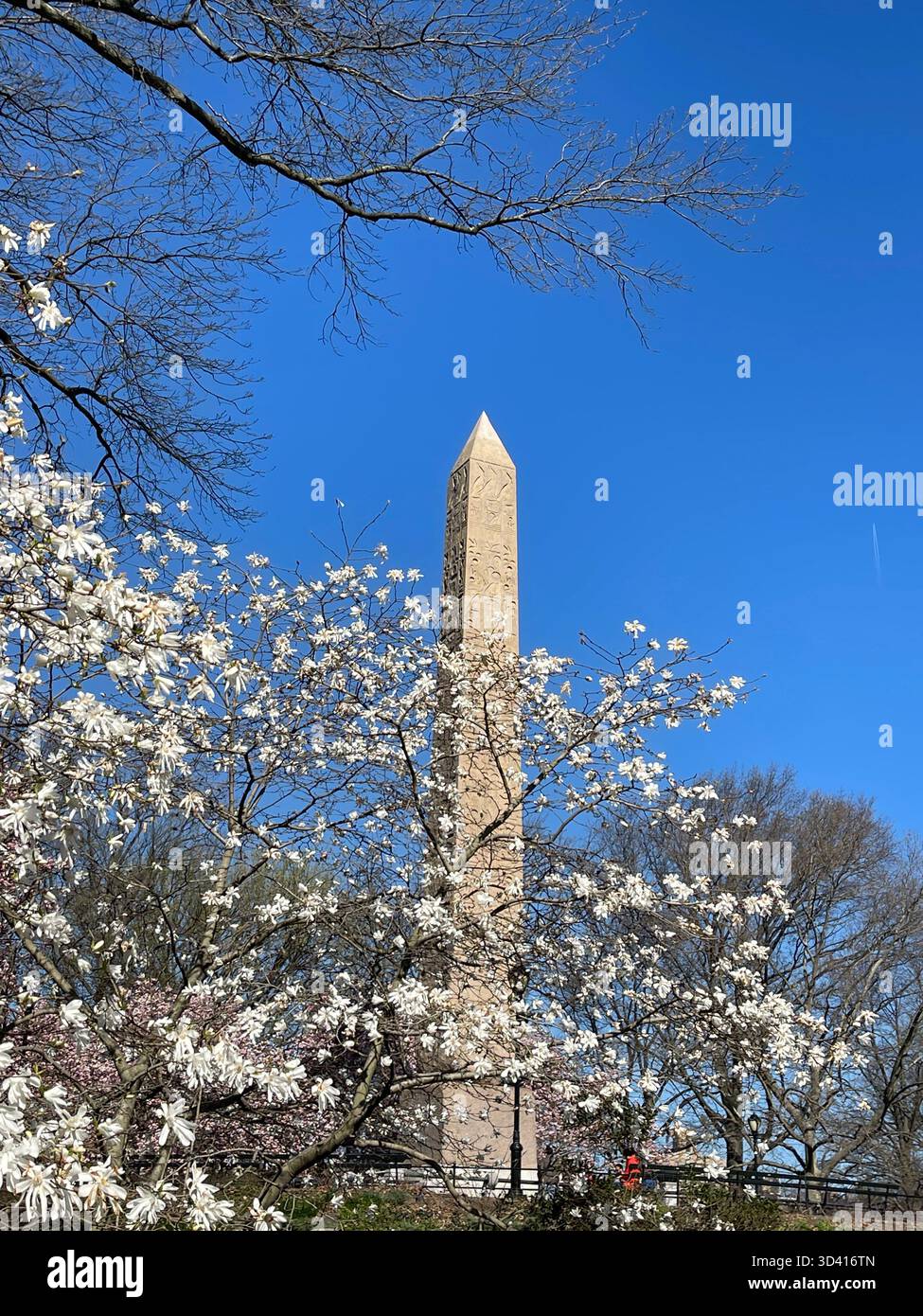 Central Park landscape with city skyline, showing seasonal changes. - Smartphone Captured Stock Image