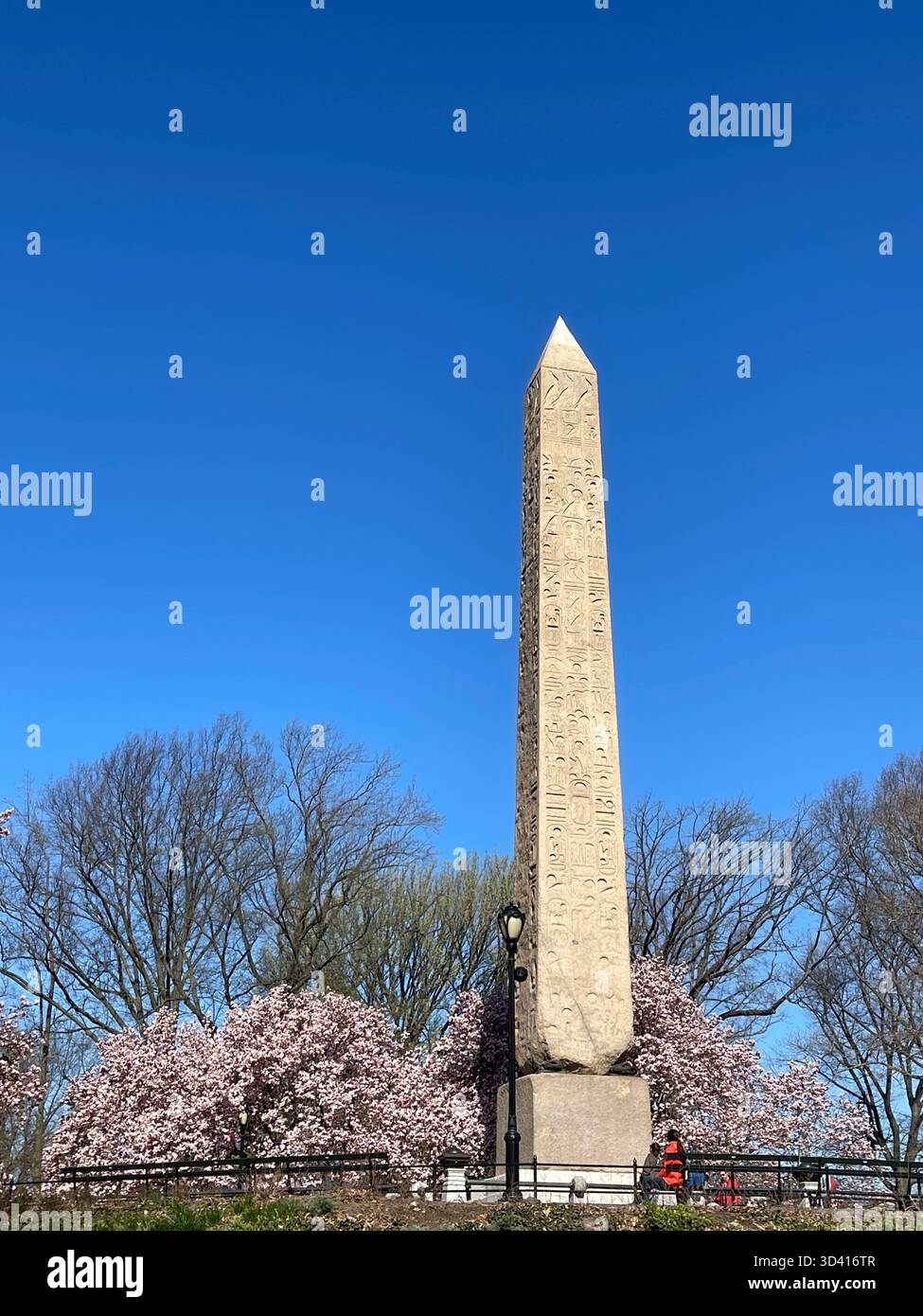 Central Park landscape with city skyline, showing seasonal changes. - Smartphone Captured Stock Image