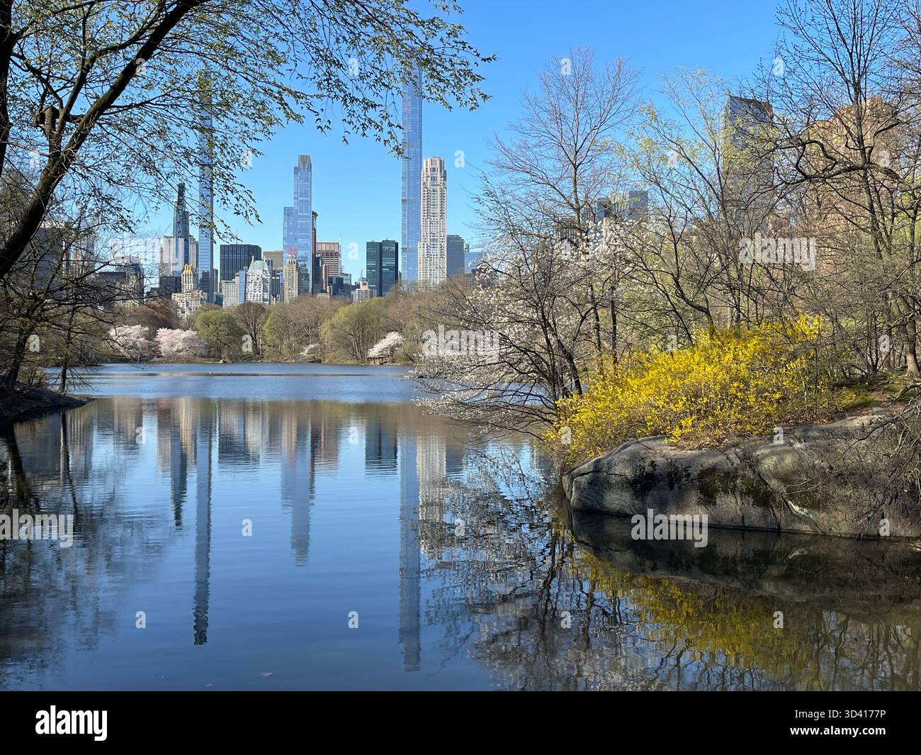 Autumn tranquility at the Lake, with glassy reflections in Central Park. - Smartphone Captured Stock Image