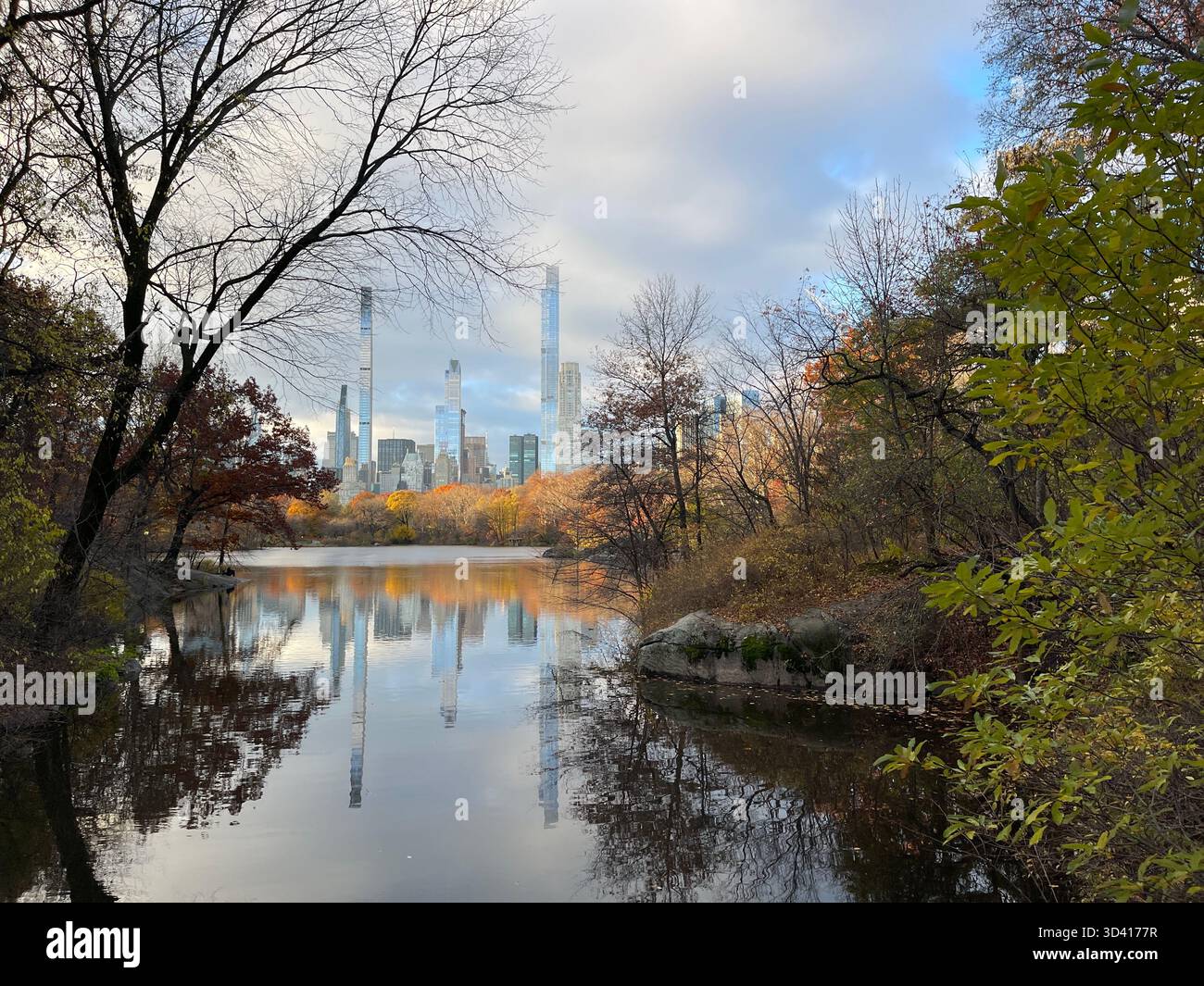 Central Park landscape with city skyline, showing seasonal changes. - Smartphone Captured Stock Image