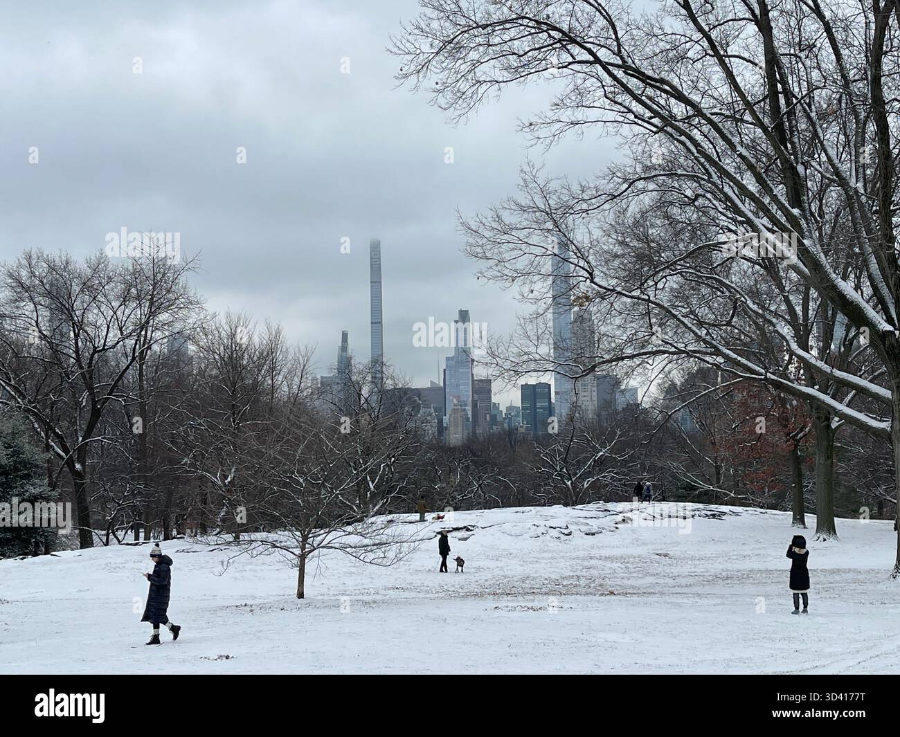 Central Park landscape with city skyline, showing seasonal changes. - Smartphone Captured Stock Image