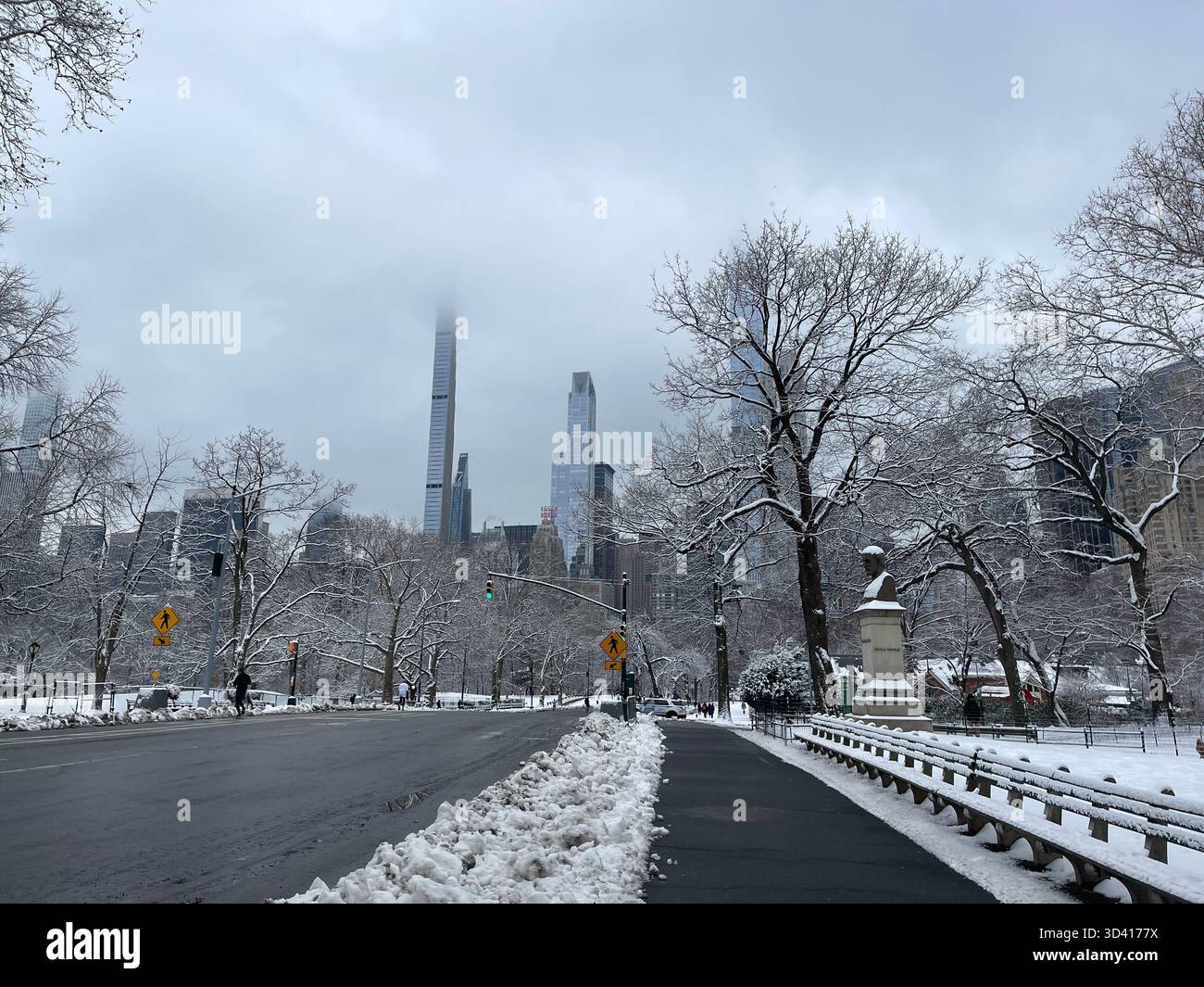 Central Park landscape with city skyline, showing seasonal changes. - Smartphone Captured Stock Image