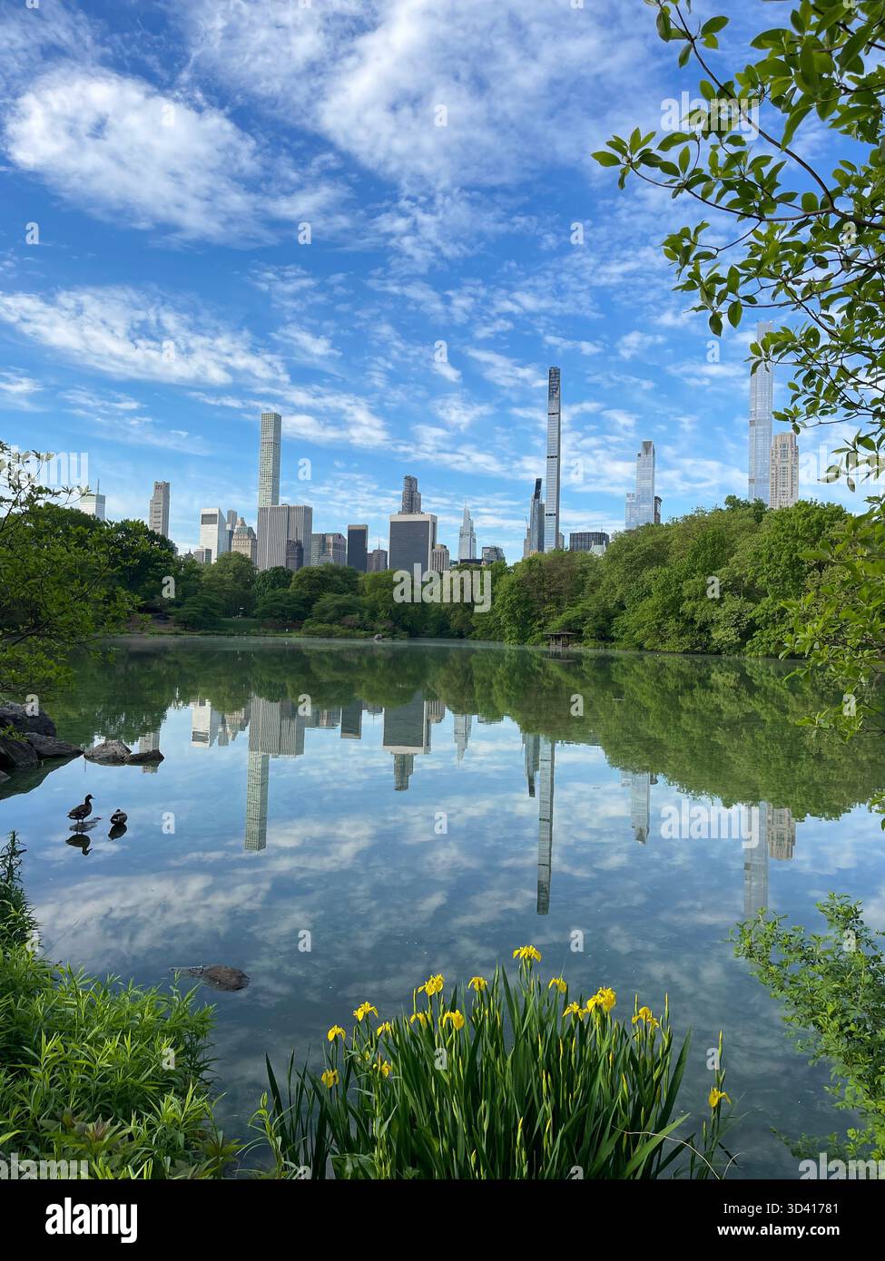 Central Park landscape with city skyline, showing seasonal changes. - Smartphone Captured Stock Image