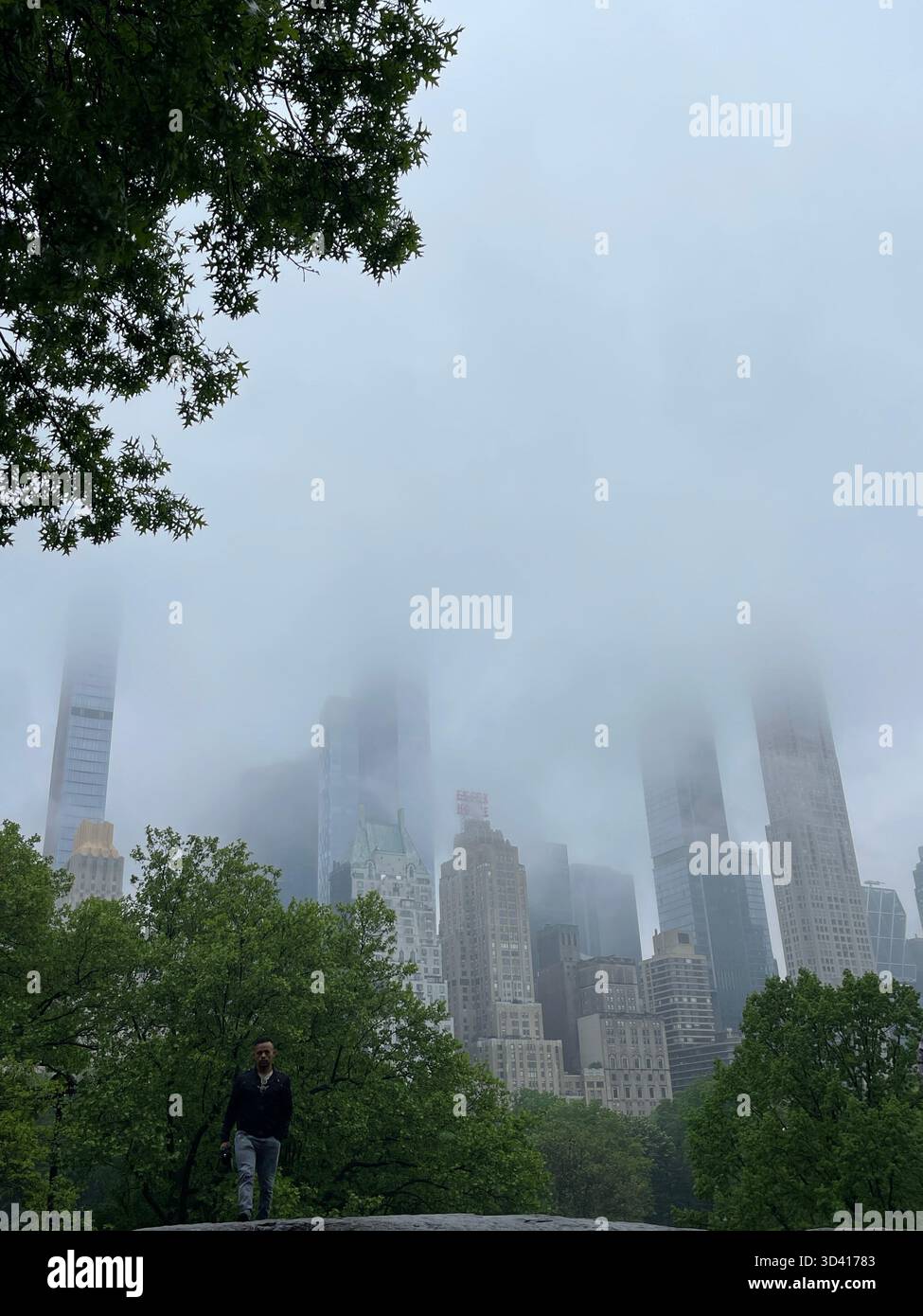 Central Park landscape with city skyline, showing seasonal changes. - Smartphone Captured Stock Image