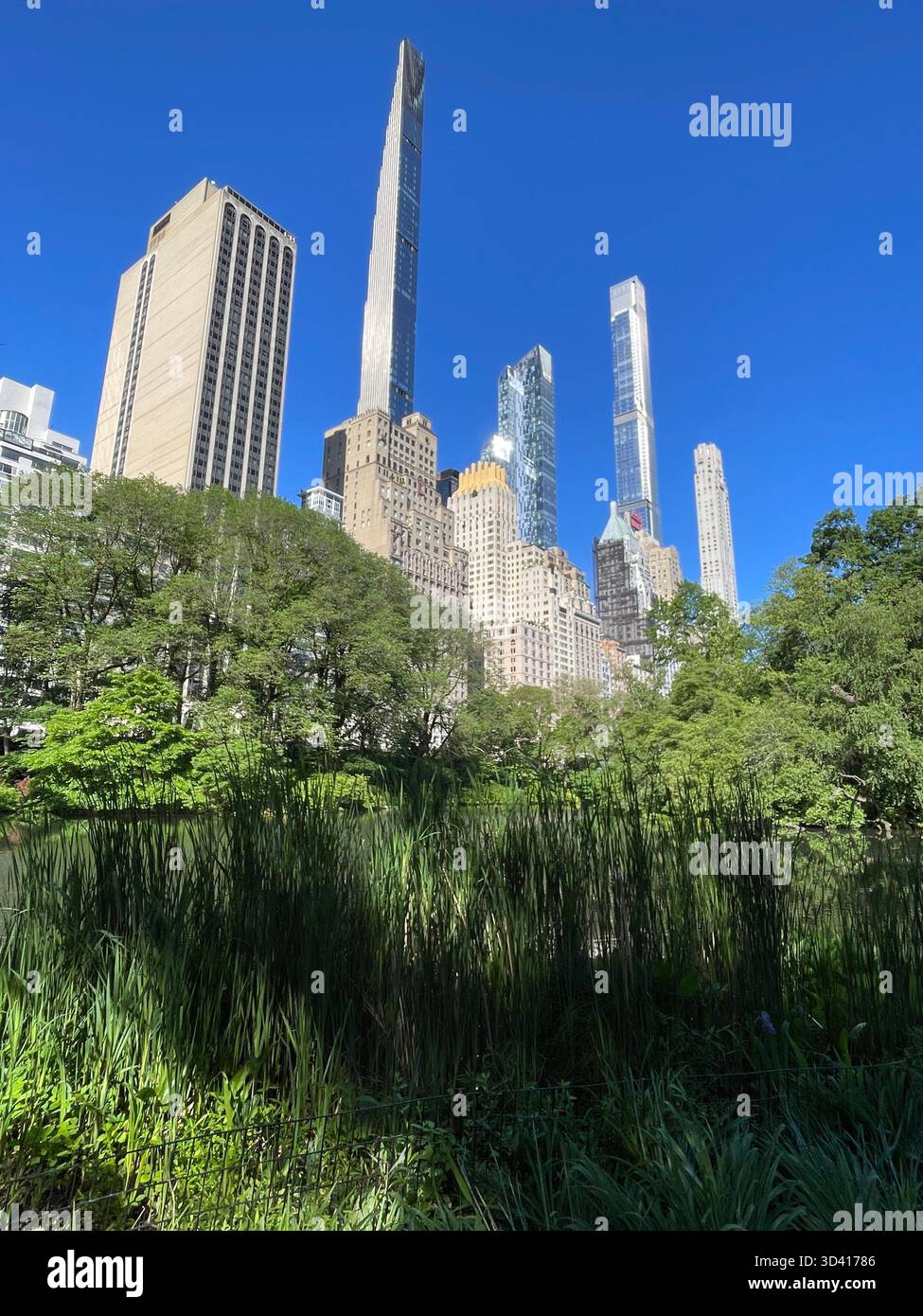 Central Park landscape with city skyline, showing seasonal changes. - Smartphone Captured Stock Image