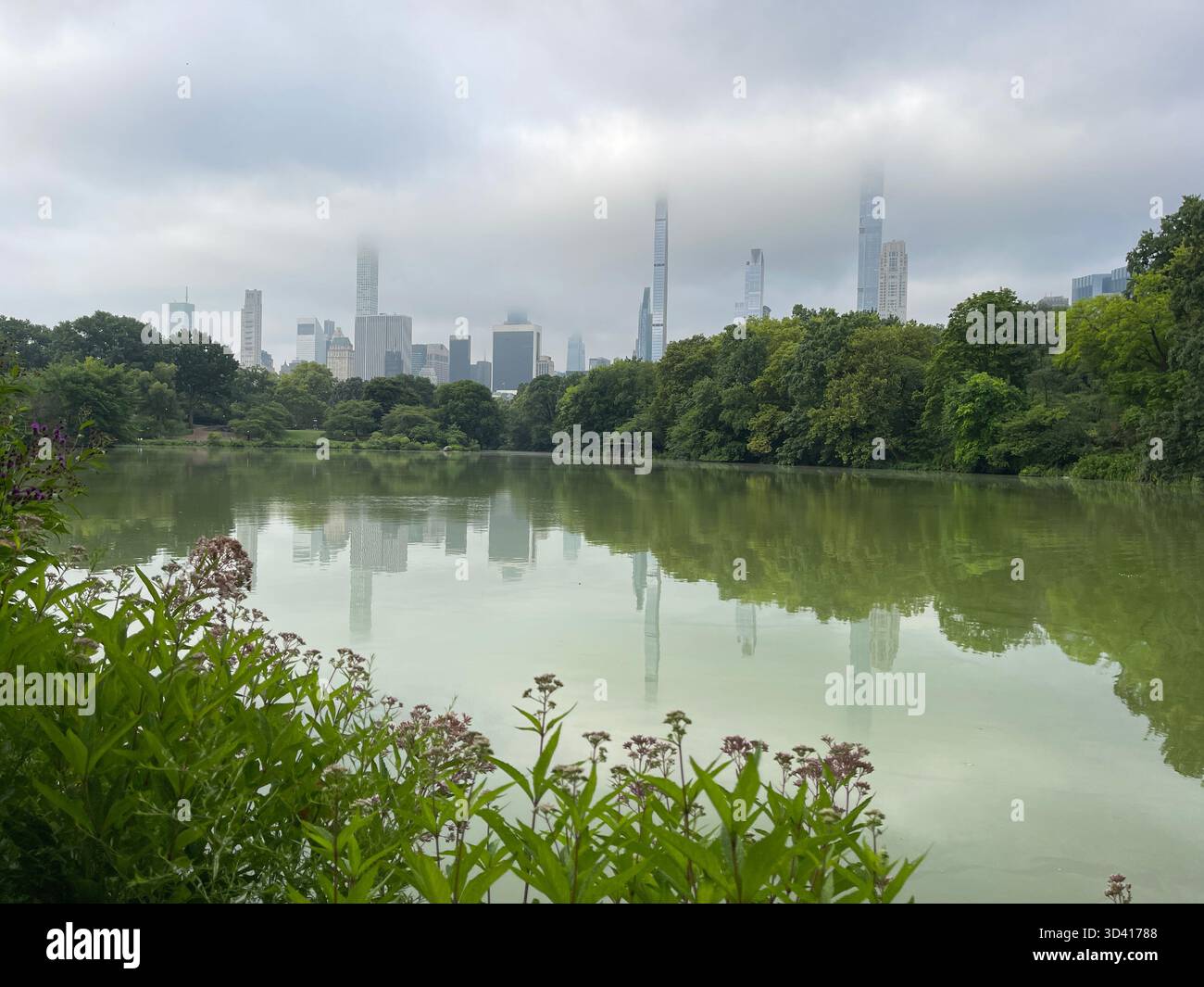 Central Park landscape with city skyline, showing seasonal changes. - Smartphone Captured Stock Image